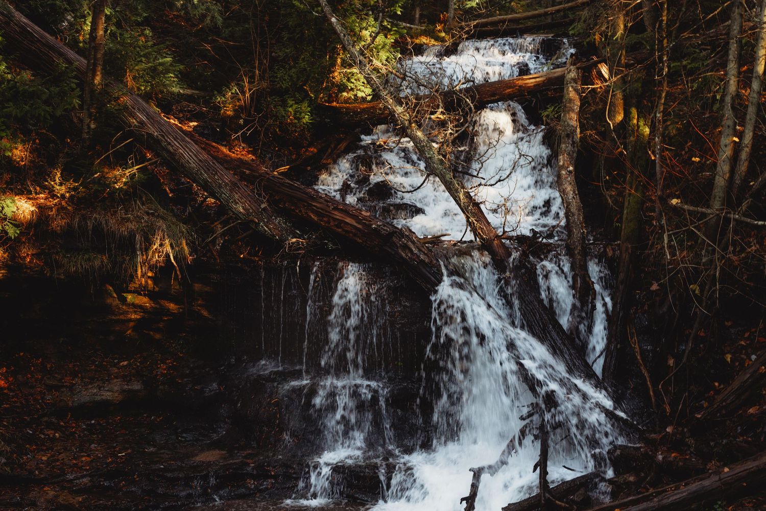 Cascading waterfall flows through dark forest with snow and ice formations.