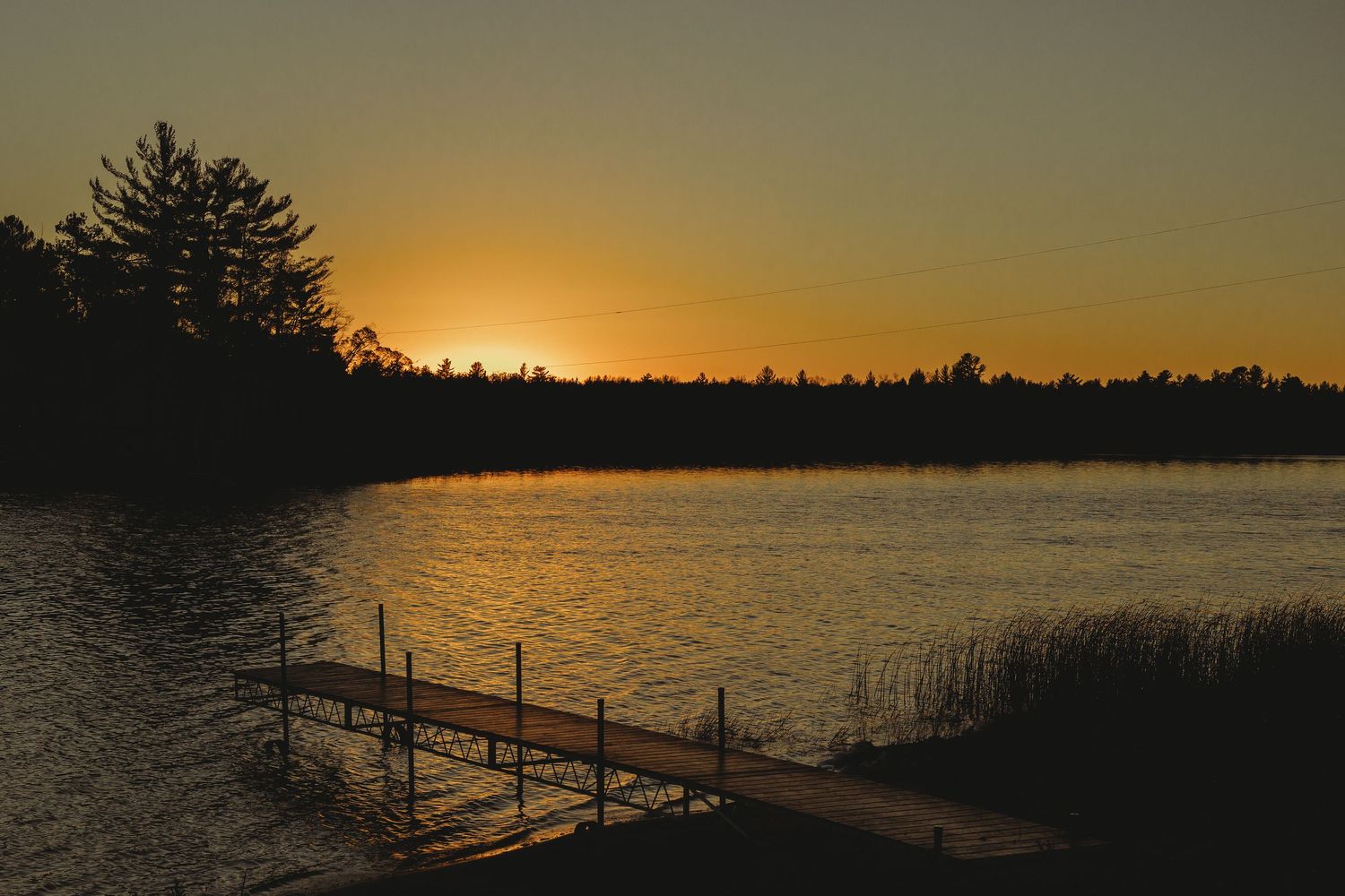 Golden sunset silhouettes pine trees along a tranquil lake shoreline.