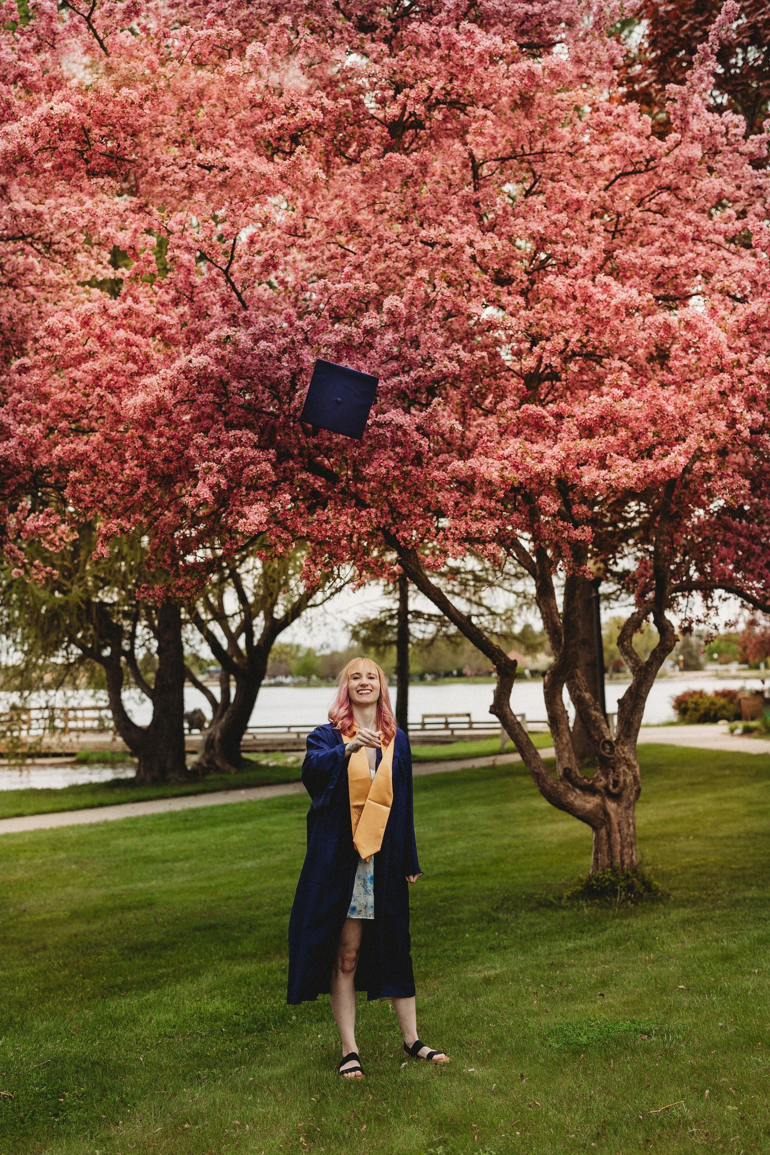 Graduate photoshoot under vibrant pink cherry blossom trees on a spring day.