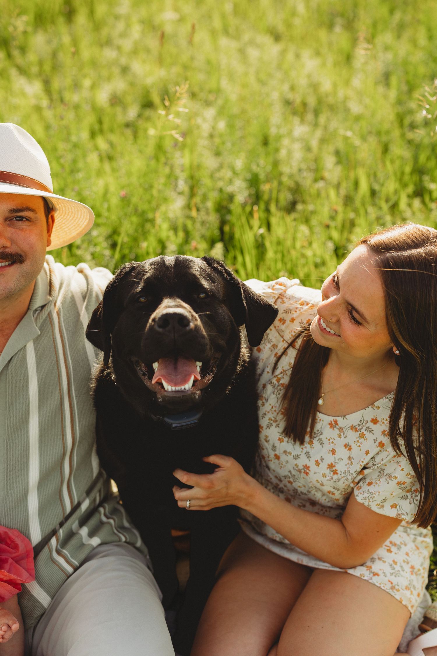 A couple sitting in a green field smiling with their happy black Labrador Retriever dog on a sunny day.