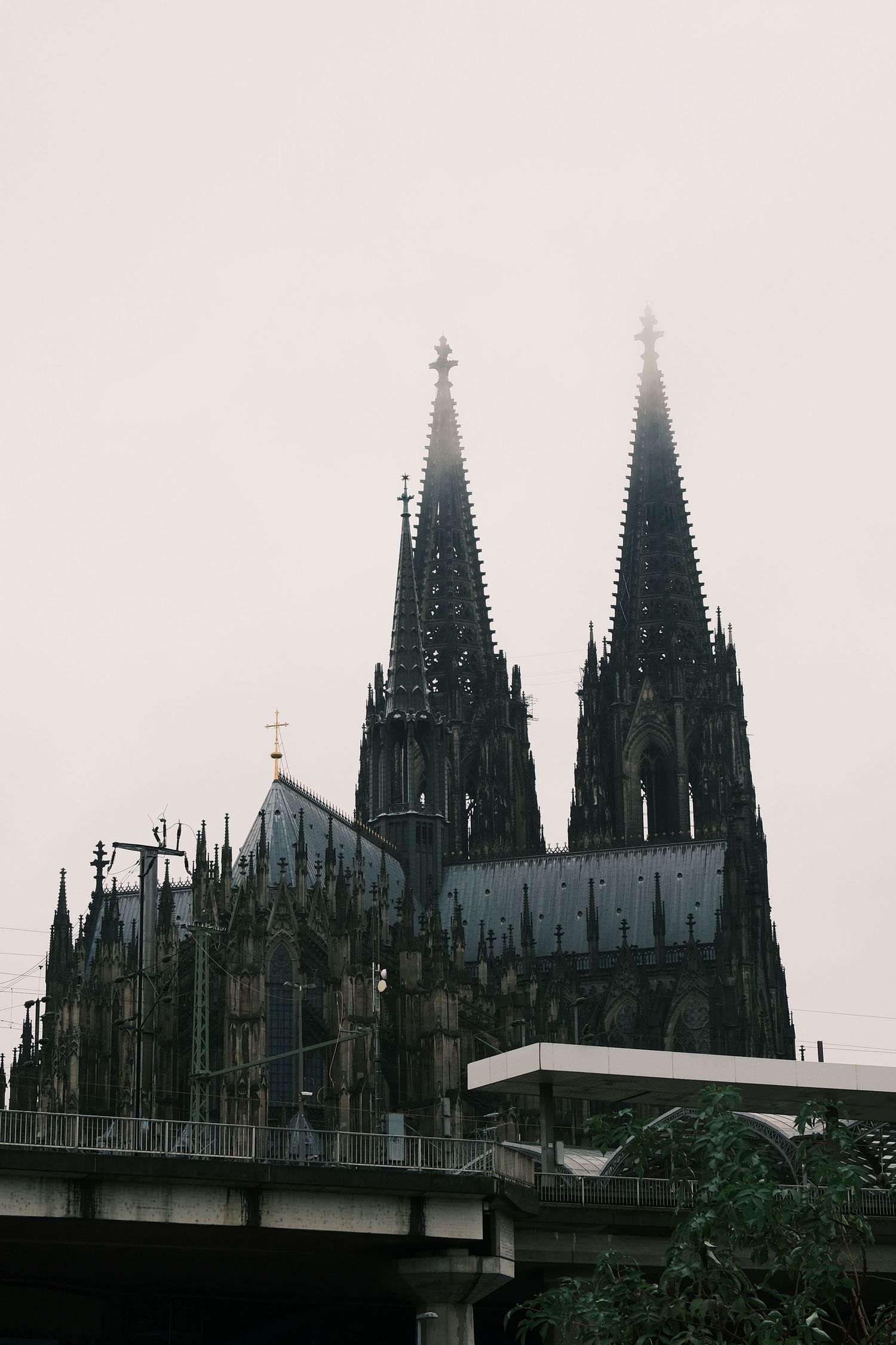 Gothic spires of Cologne Cathedral rise through misty fog, with a bridge and trees visible in the foreground.