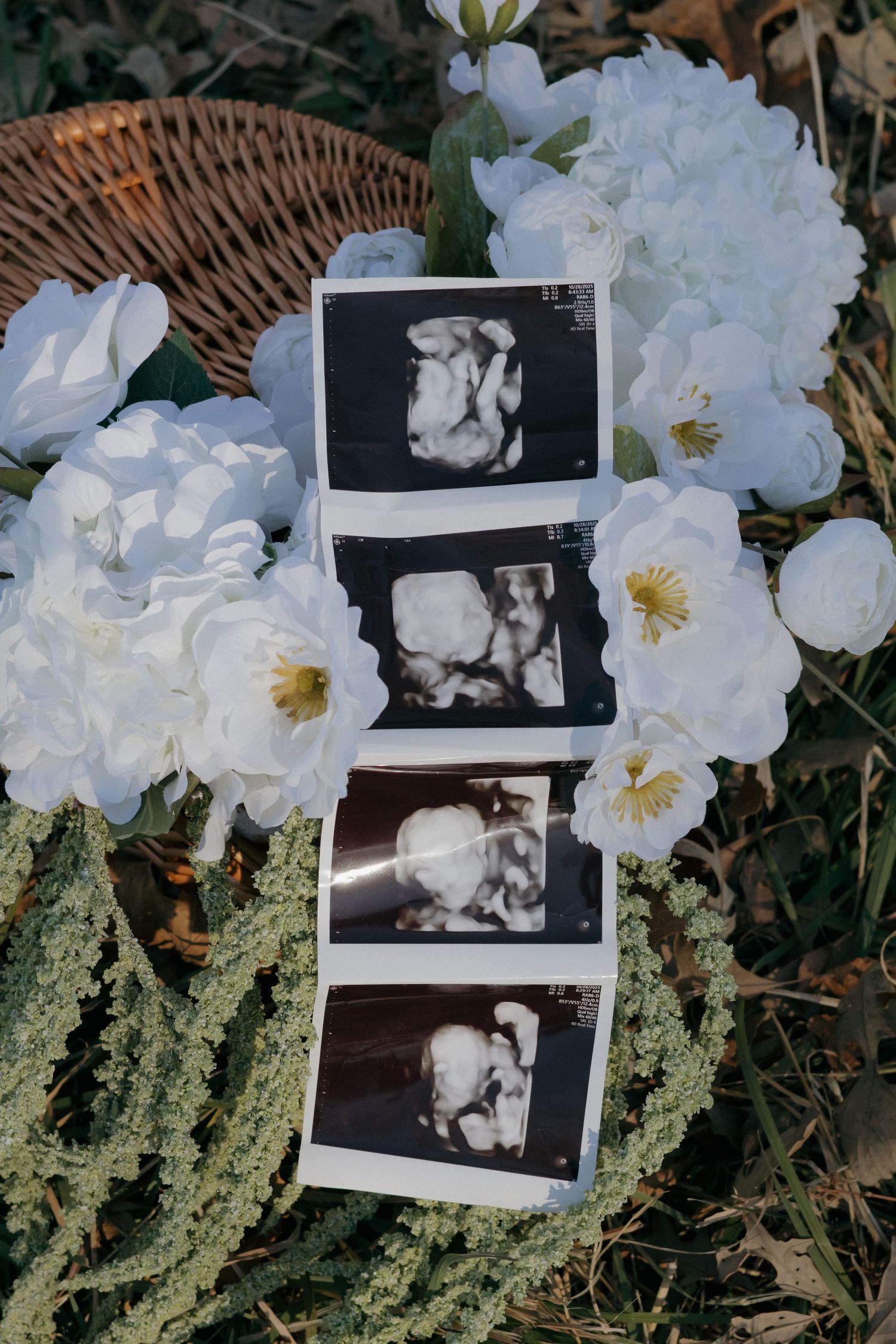 pregnancy announcement photographer in janesville wisconsin dubuque iowa madison wisconsin
