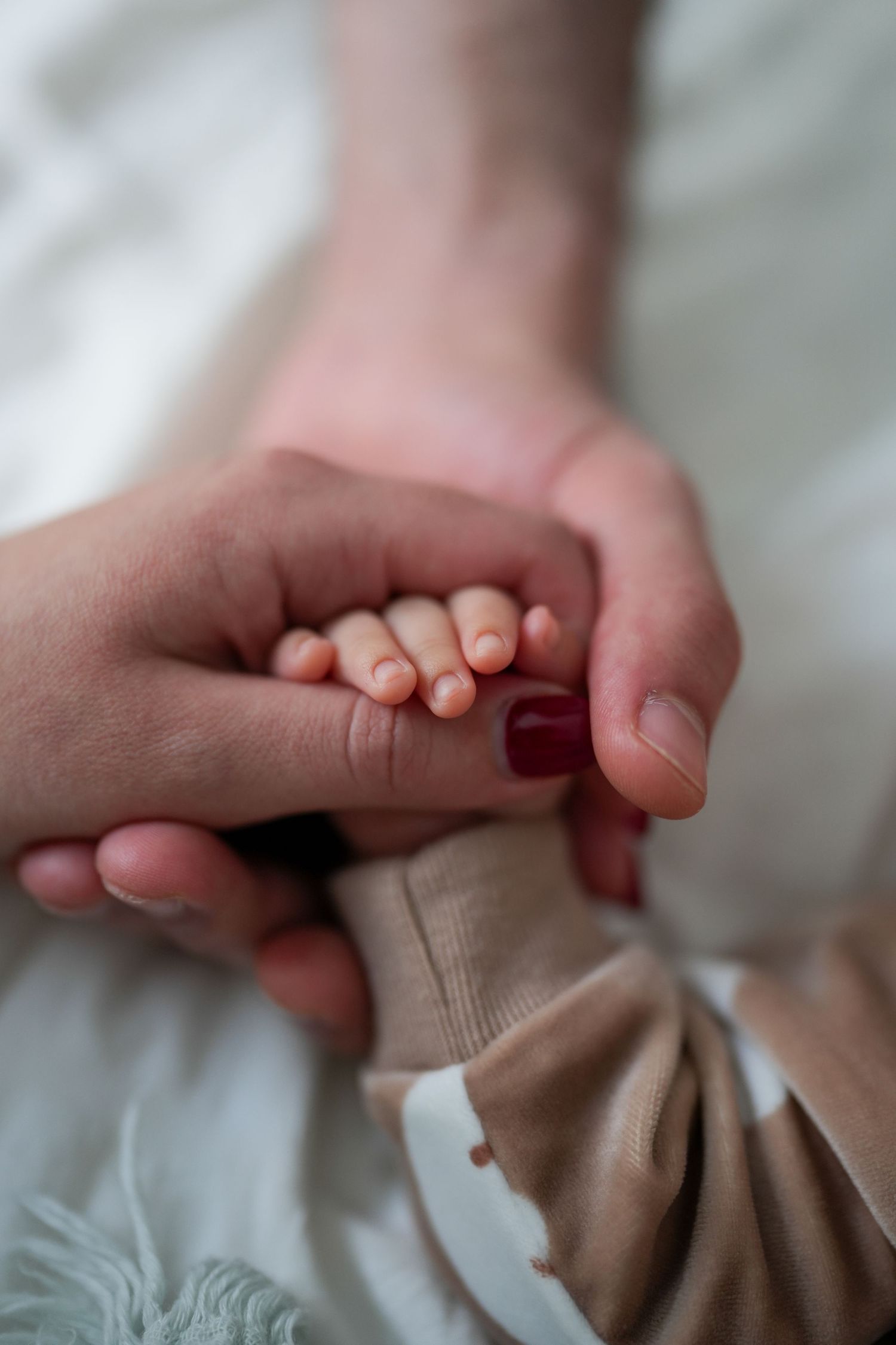 photoshoot of tiny baby's hand gently grasps mom's finger with red nail polish against a soft white background.