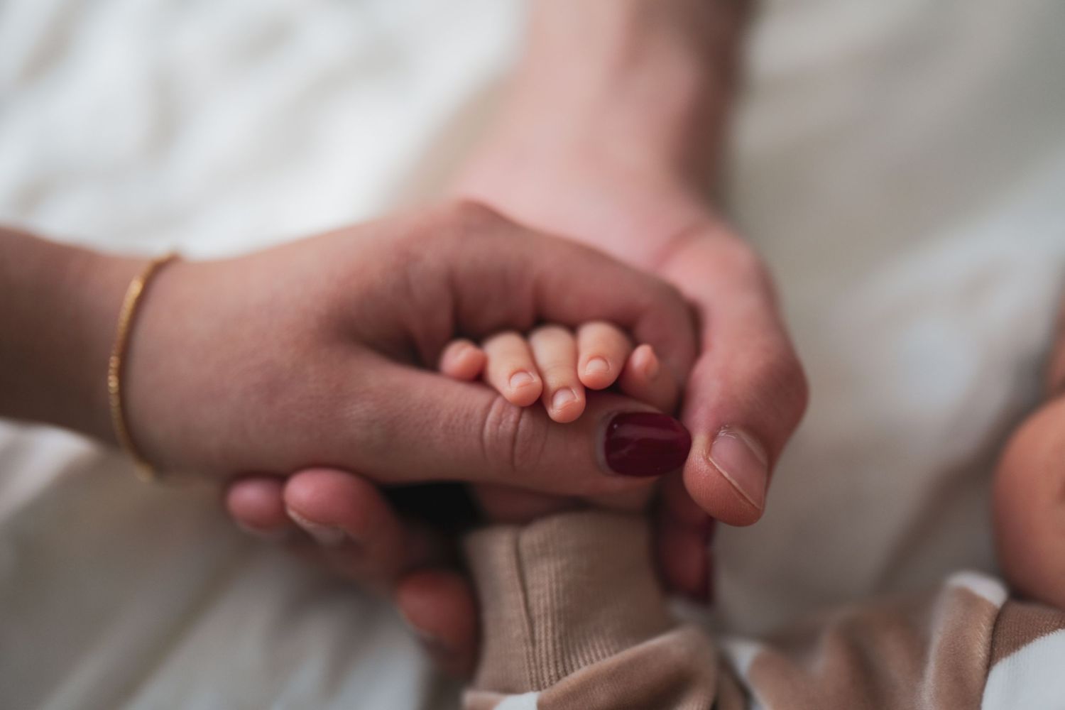 photoshoot of family holding baby's hands on a white background.