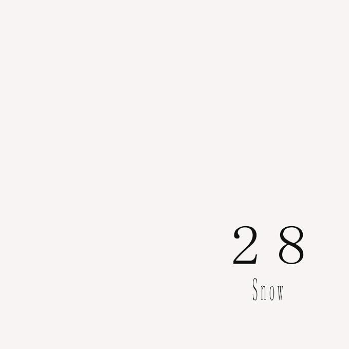 Snow white color swatch number 28 for photography backdrop selection.