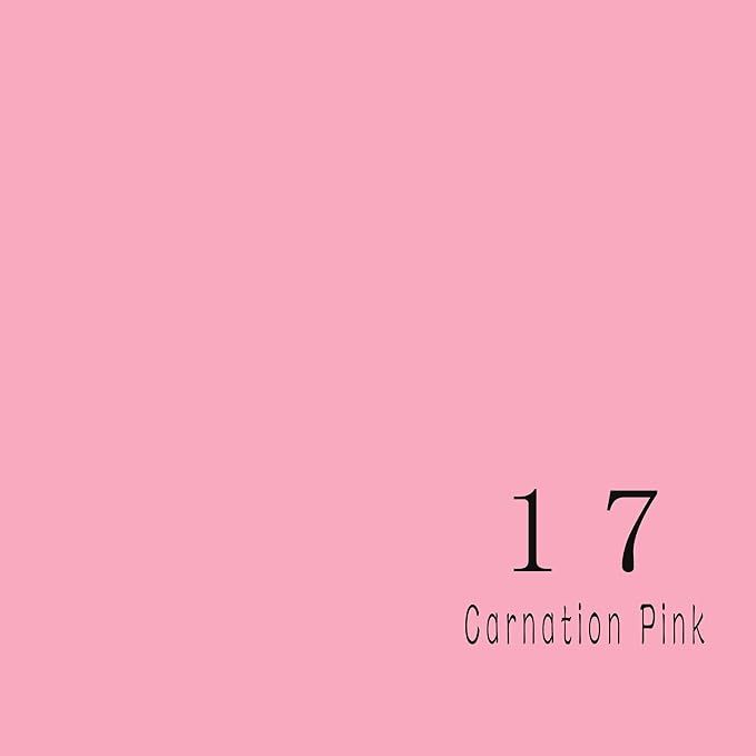 Carnation Pink color swatch number 17 for photography backdrop selection.