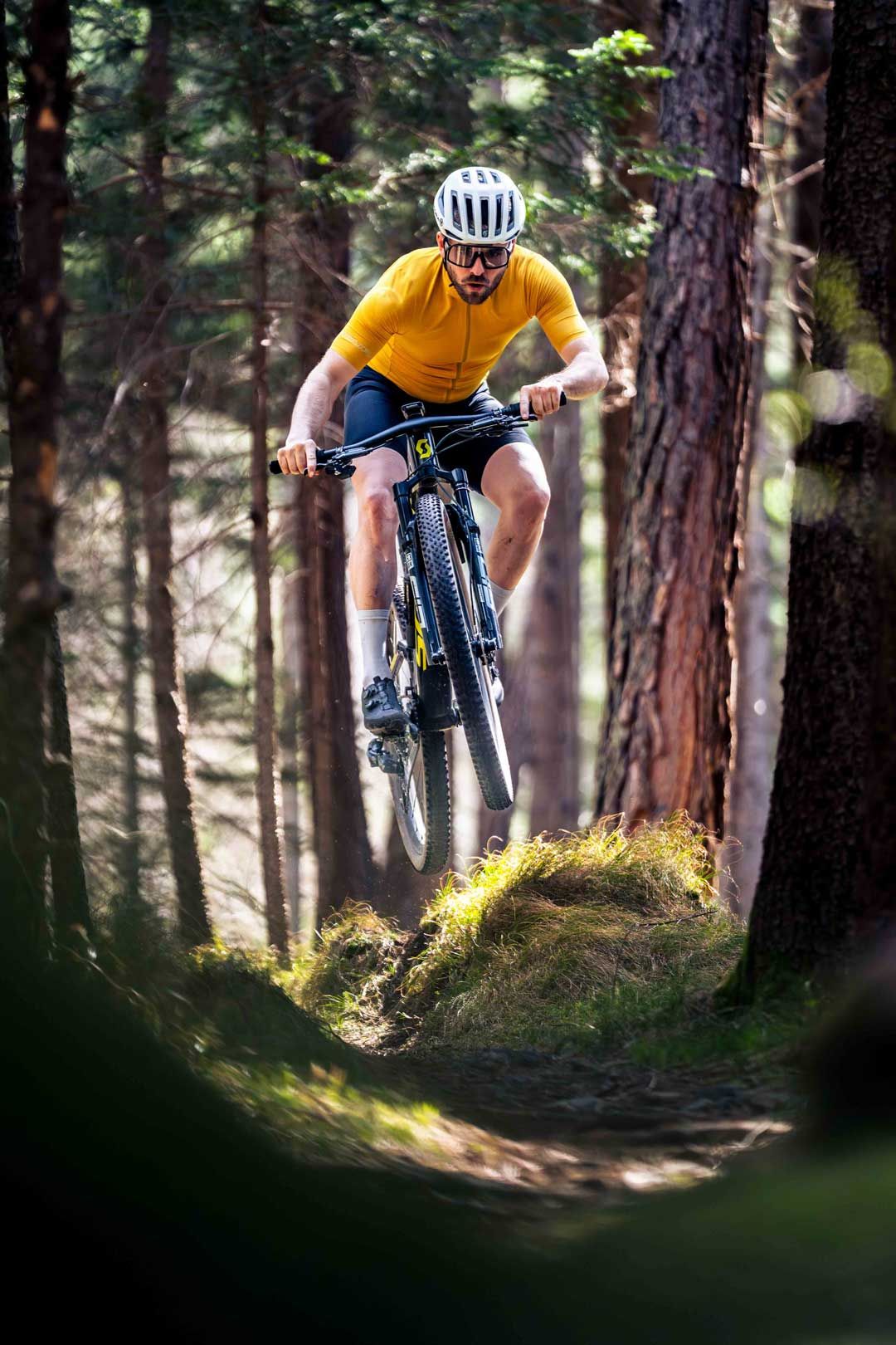 Sportfotografie: Mountainbiker fährt einen Trail im Wald – die Abendsonne setzt ihn schön ins Licht