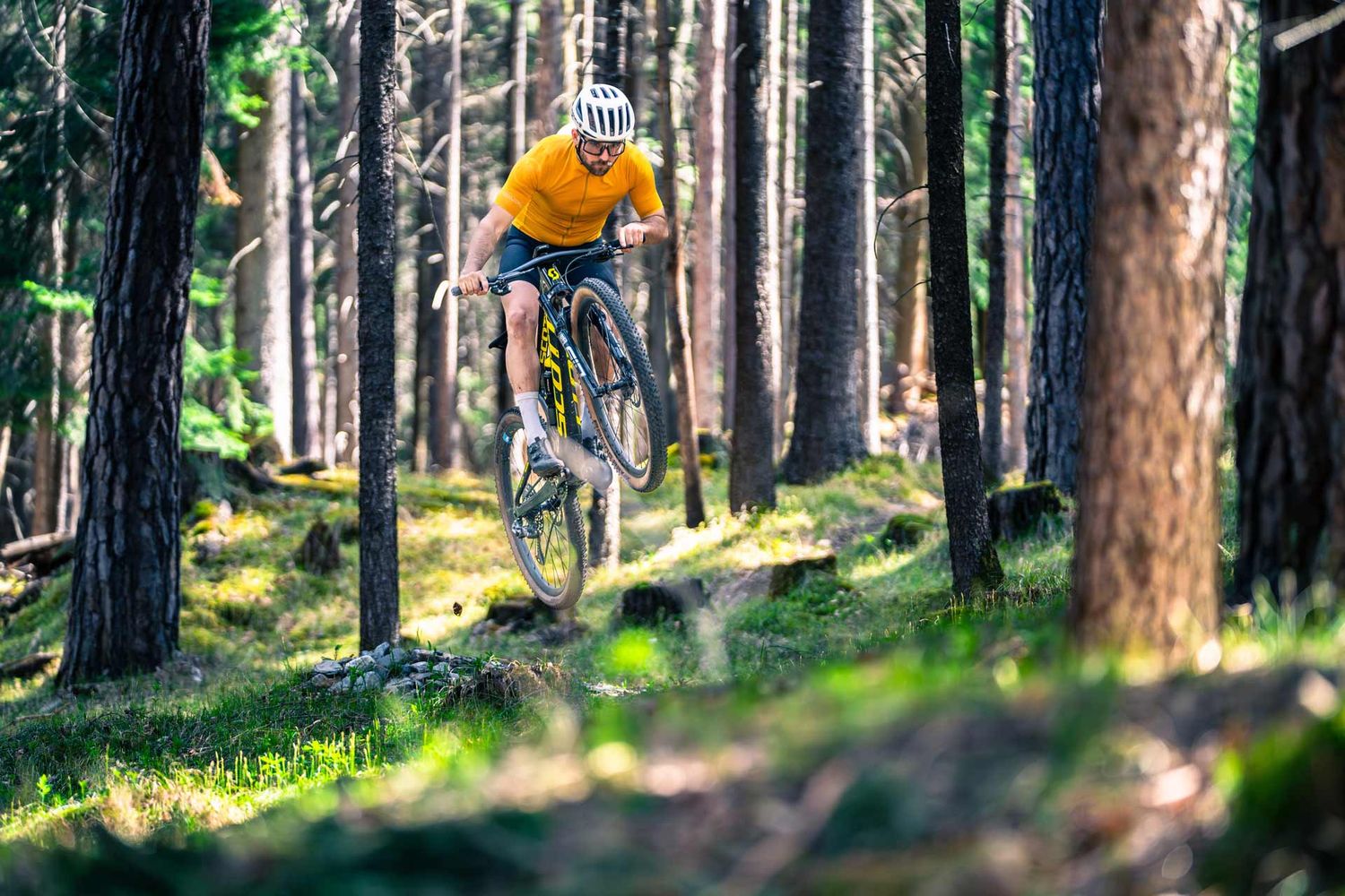 Sportfotografie: Mountainbiker fährt einen Trail in einem Wald mit Moos und grünen Gräsern – die Abendsonne setzt ihn schön ins Licht
