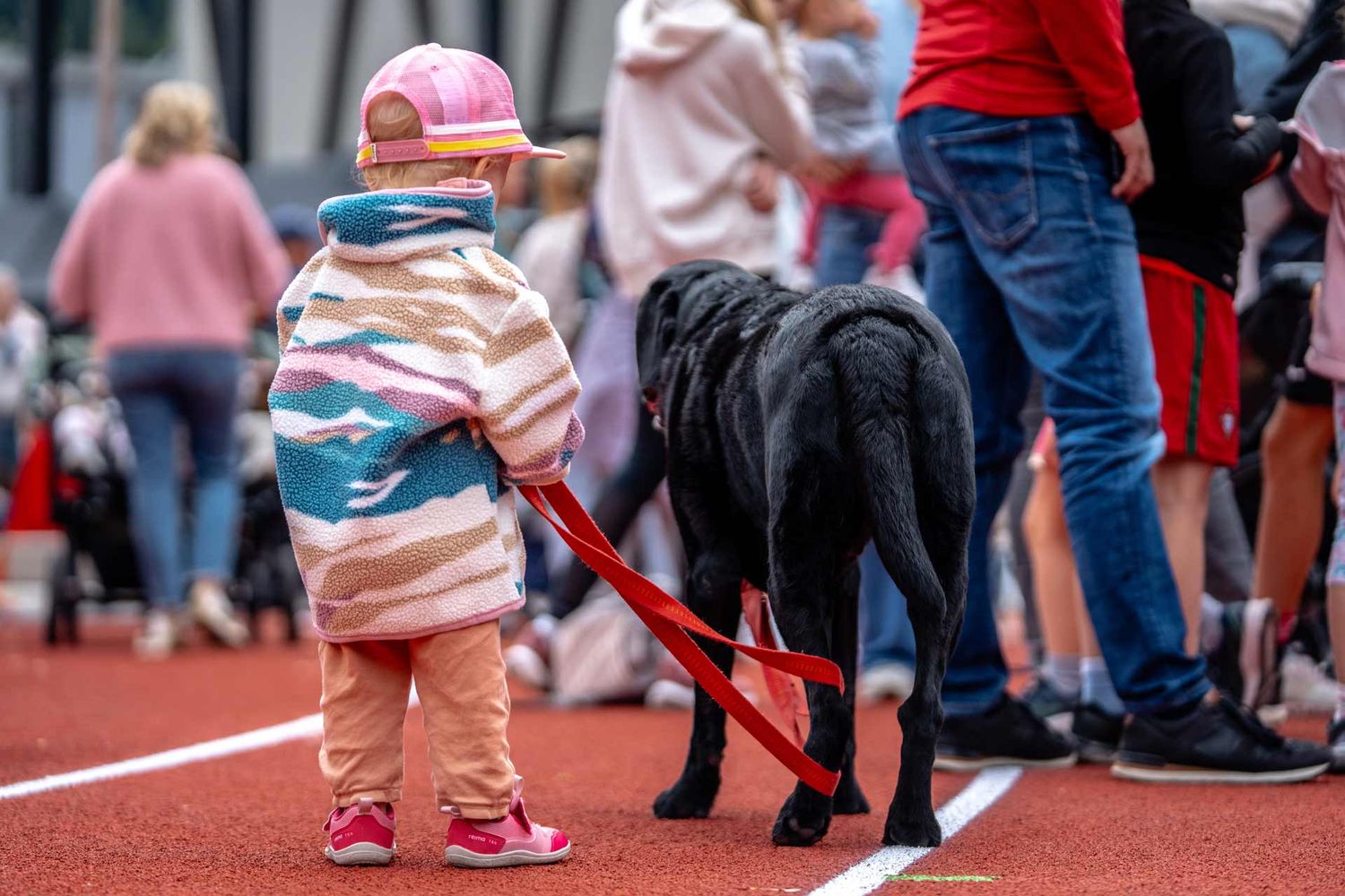 Eventfotografie: kleines Kind hat einen Hund an der Leine – der Hund ist fast grösser als das Kind
