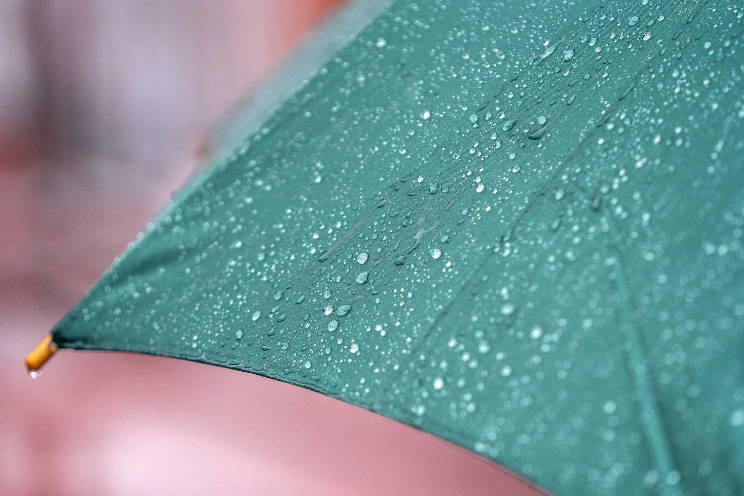Eventfotografie: Regentropfen auf einem Regenschirm