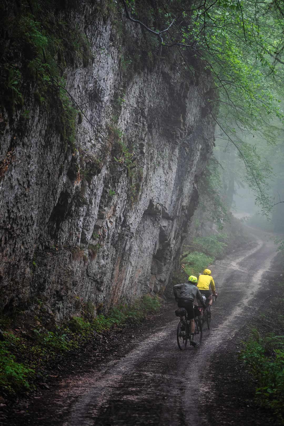 Eventfotografie: Zwei Gravelfahrer fahren einen Waldweg hoch – die Stimmung ist mystisch