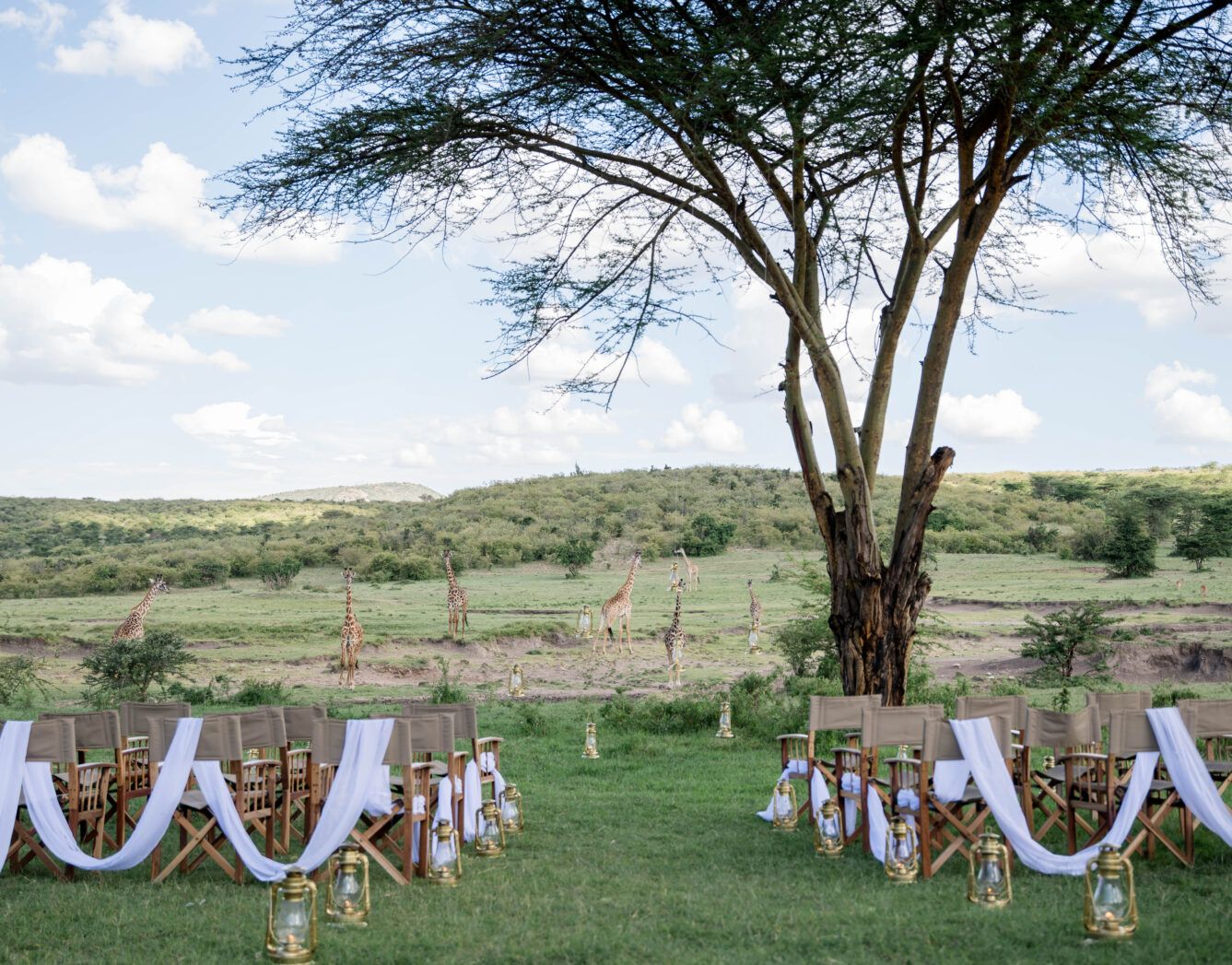 White fabric drapes elegantly between wooden posts in an outdoor wedding ceremony setup against a scenic grassland backdrop.