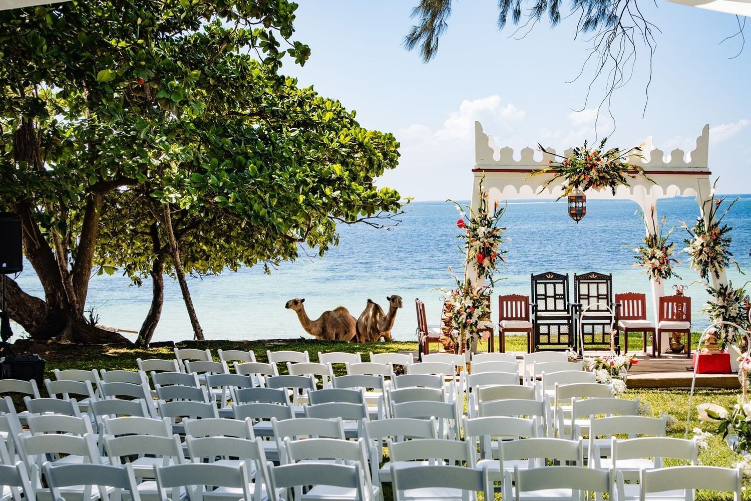 Tropical beach wedding ceremony setup with white chairs facing the ocean under palm trees and blue skies.