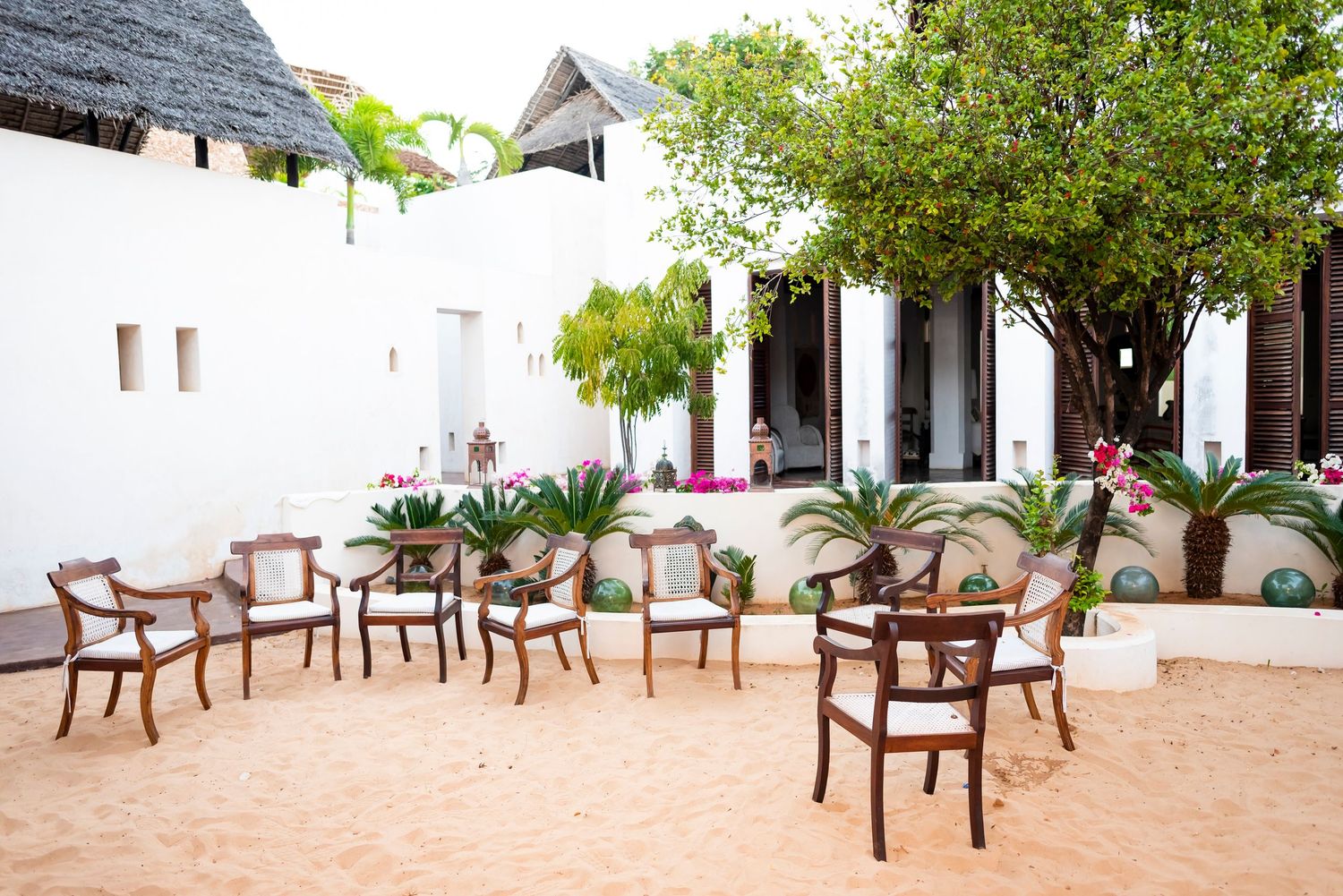 Brown wooden chairs arranged in a row against a white wall with green trees in an outdoor courtyard setting.