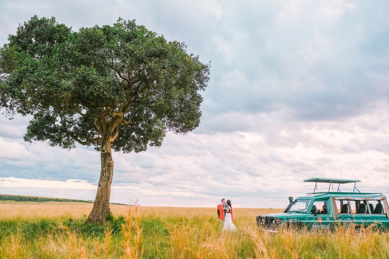 A lone tree stands majestically in a golden wheat field under a cloudy summer sky.