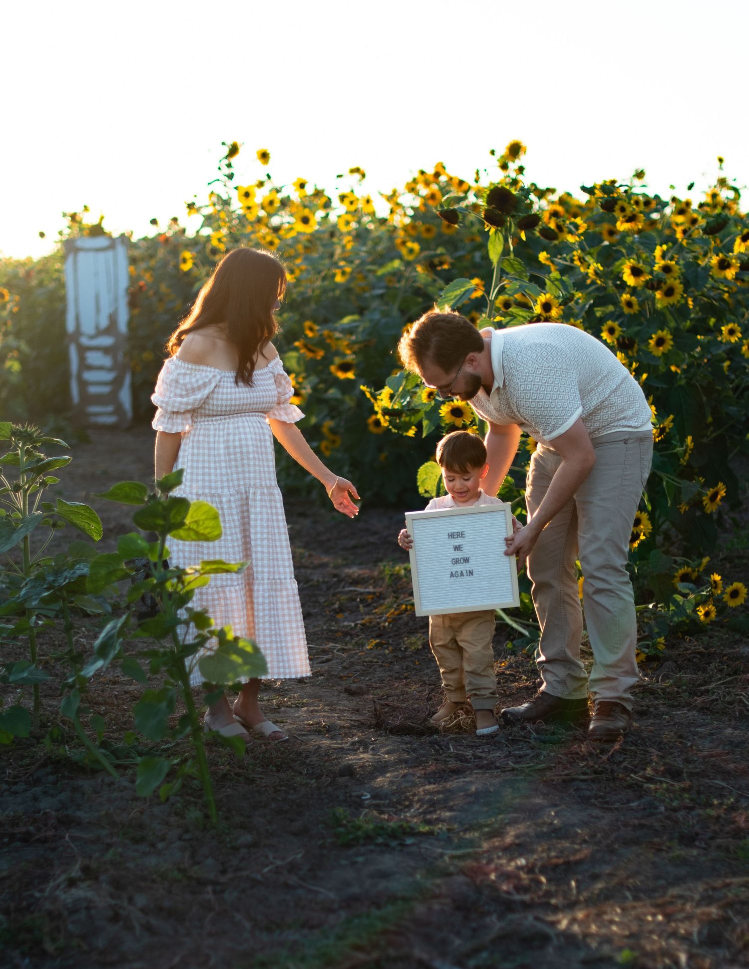 Family taking pictures in a sunflower field at sunset.