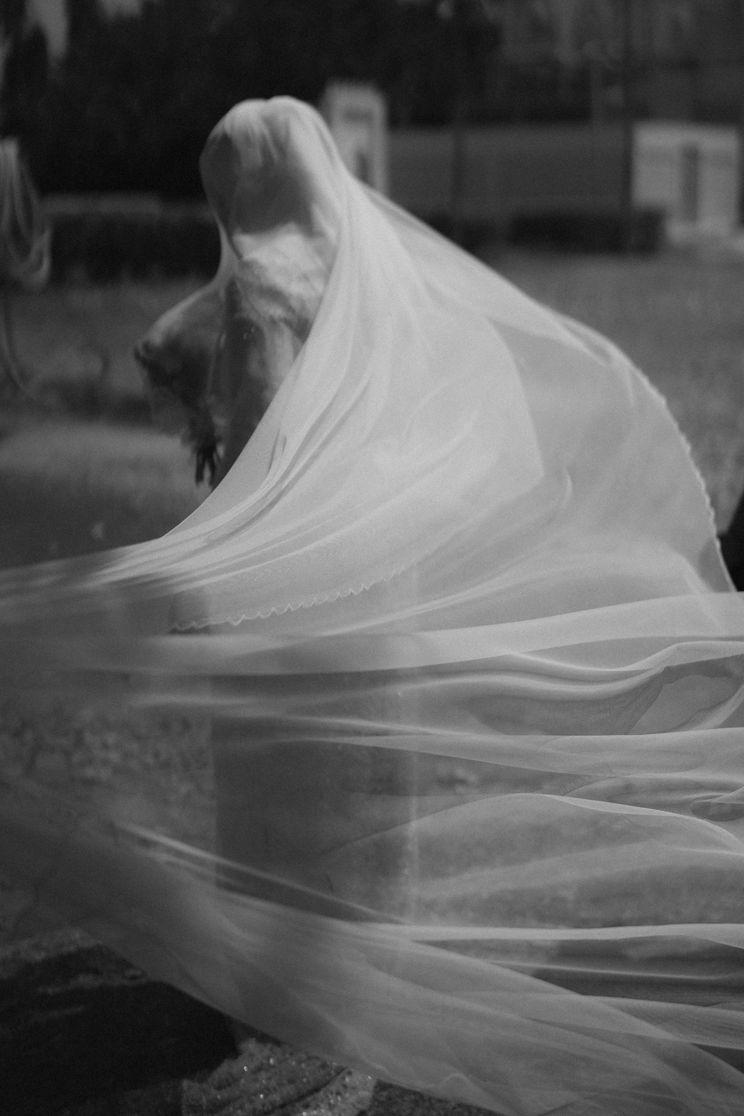 Black and white photo of a bride with flowing veil billowing dramatically in the wind outdoors.