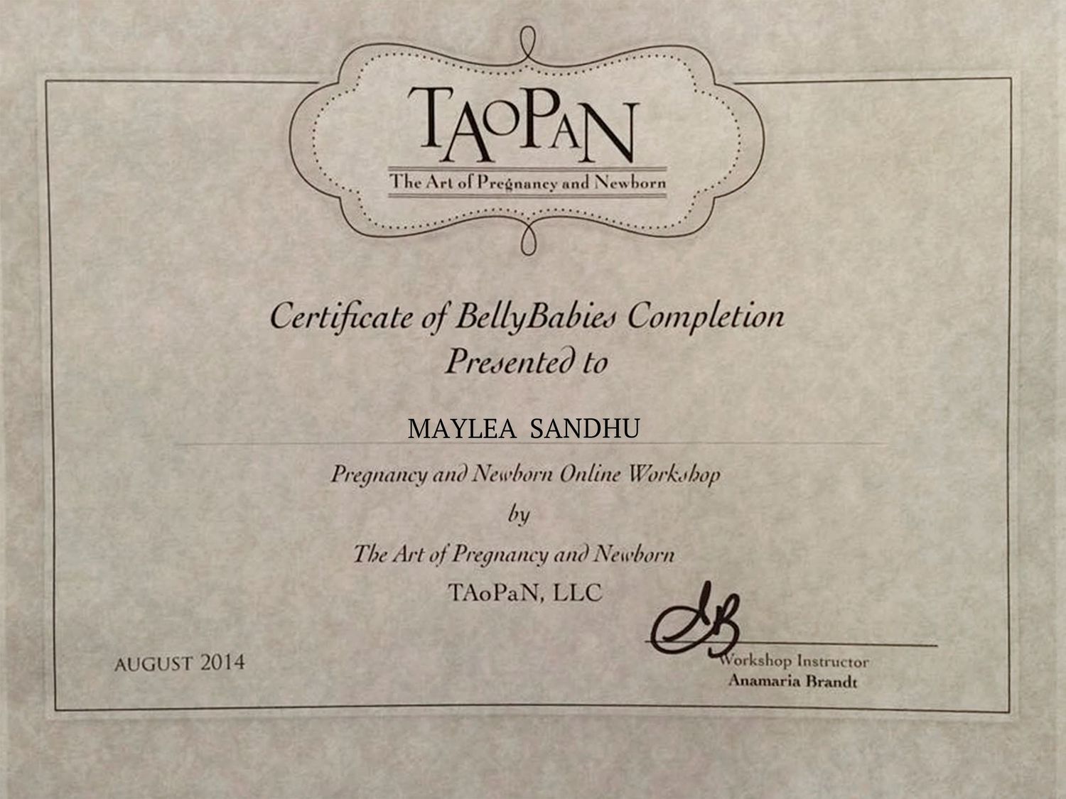 certificate of completion for the Art of Pregnancy and newborn course by Ana Brandt