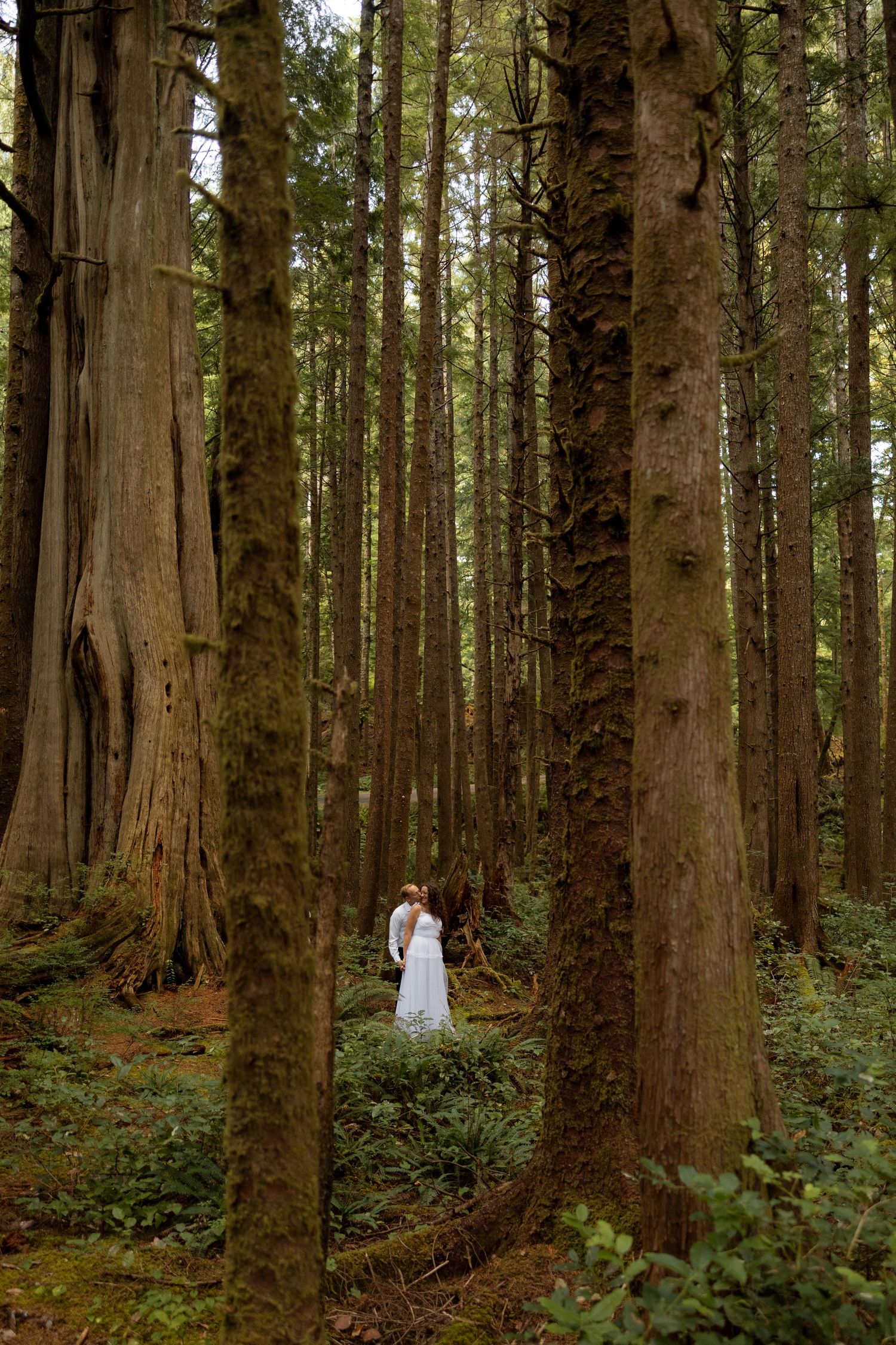 A white dress stands out against the deep forest backdrop of massive evergreen trees.