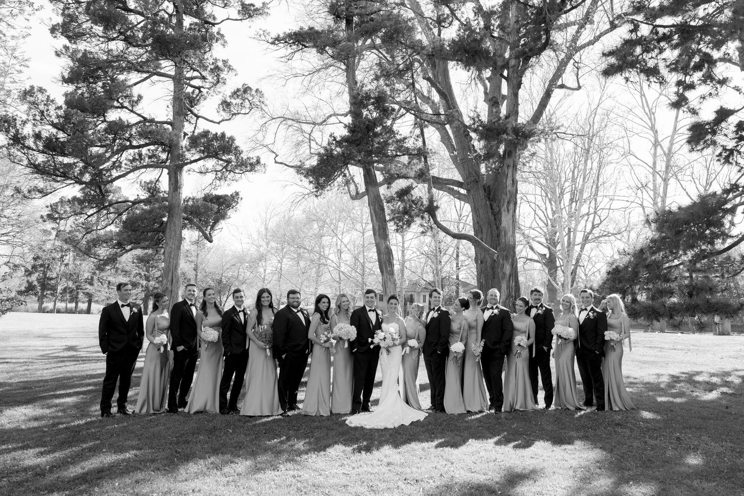 Black and white photo of large wedding party posing under towering trees on manicured lawn.