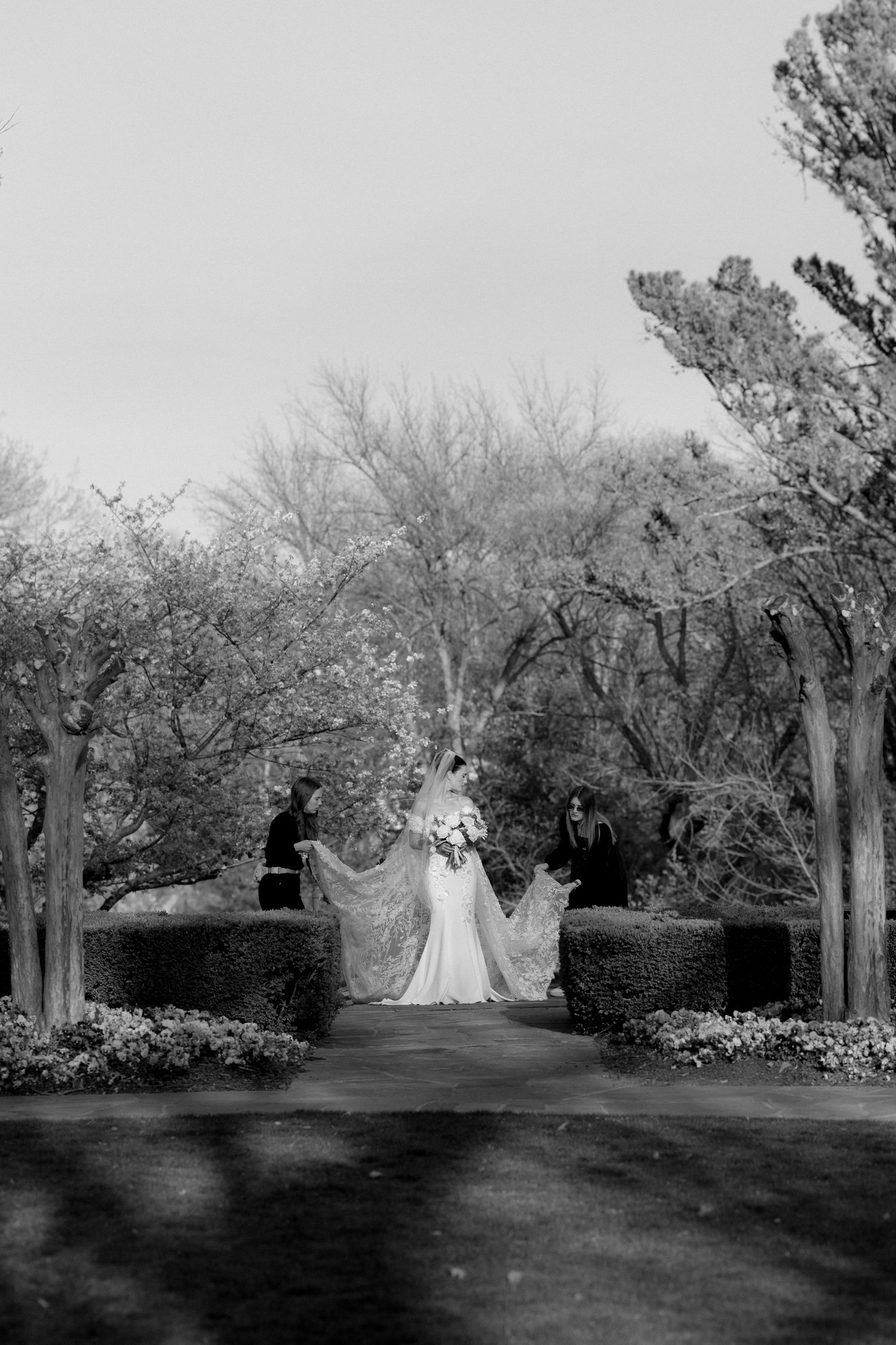 Black and white photo of bride walking down garden path with attendants holding her veil.