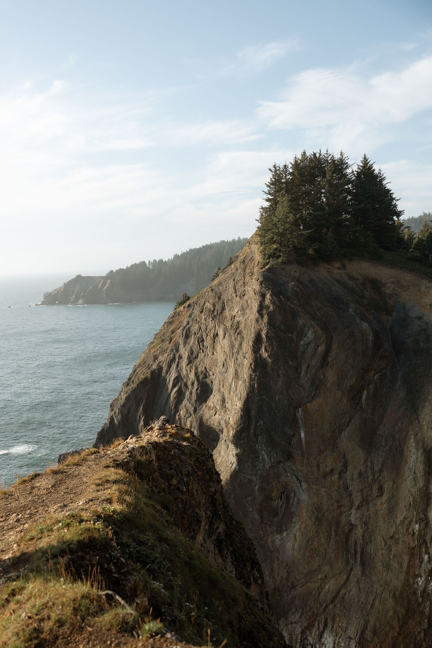 Dramatic coastal cliffs rise above the Pacific Ocean with evergreen trees growing along the rocky ridgeline.