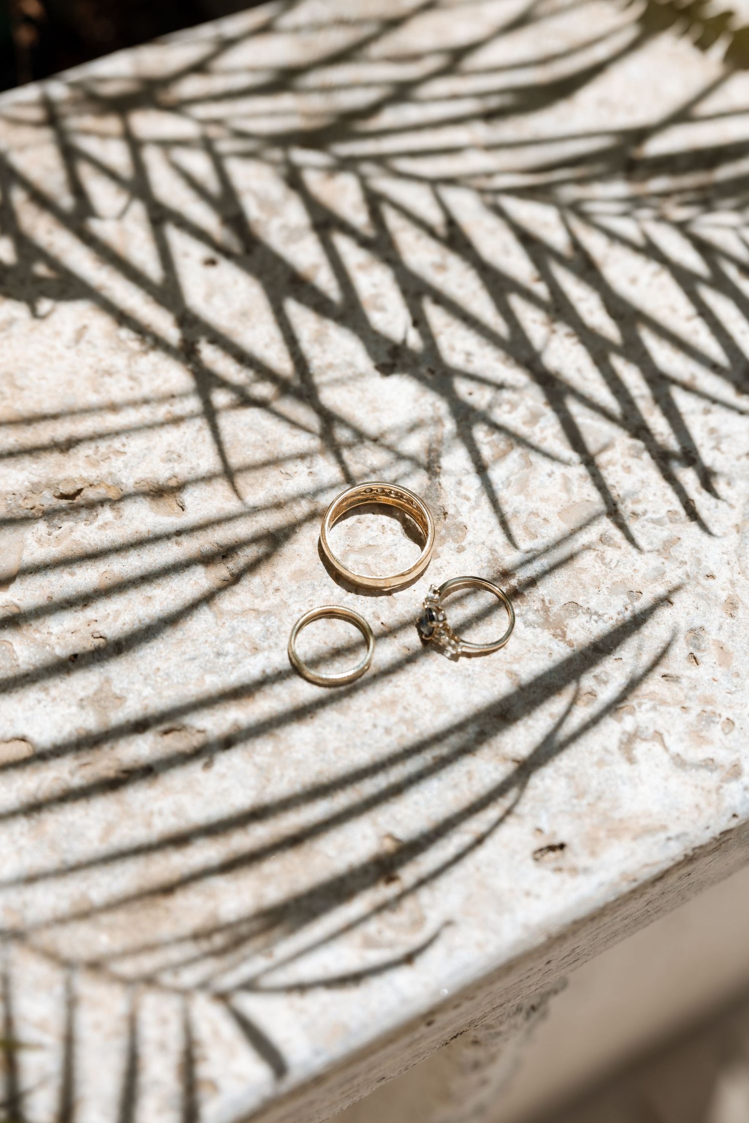 Wedding rings casting palm leaf shadows on a white textured surface.