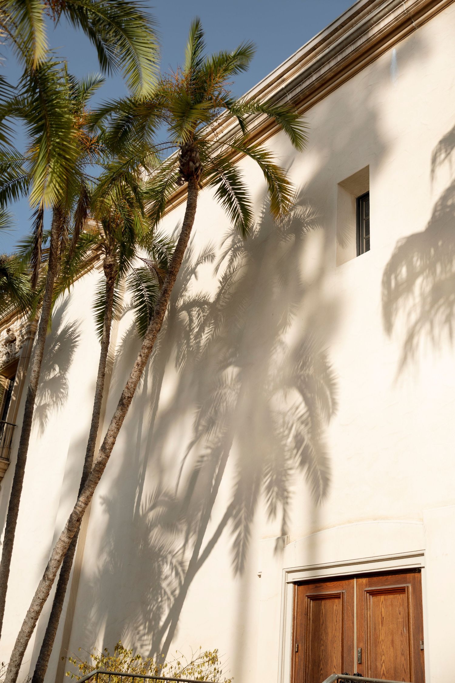 White stucco walls with tall palm trees line a pathway leading to wooden doors.