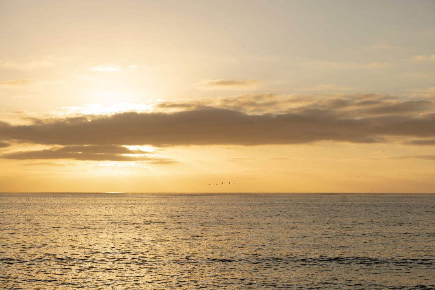Golden sunset over the ocean horizon with dramatic clouds in the sky.