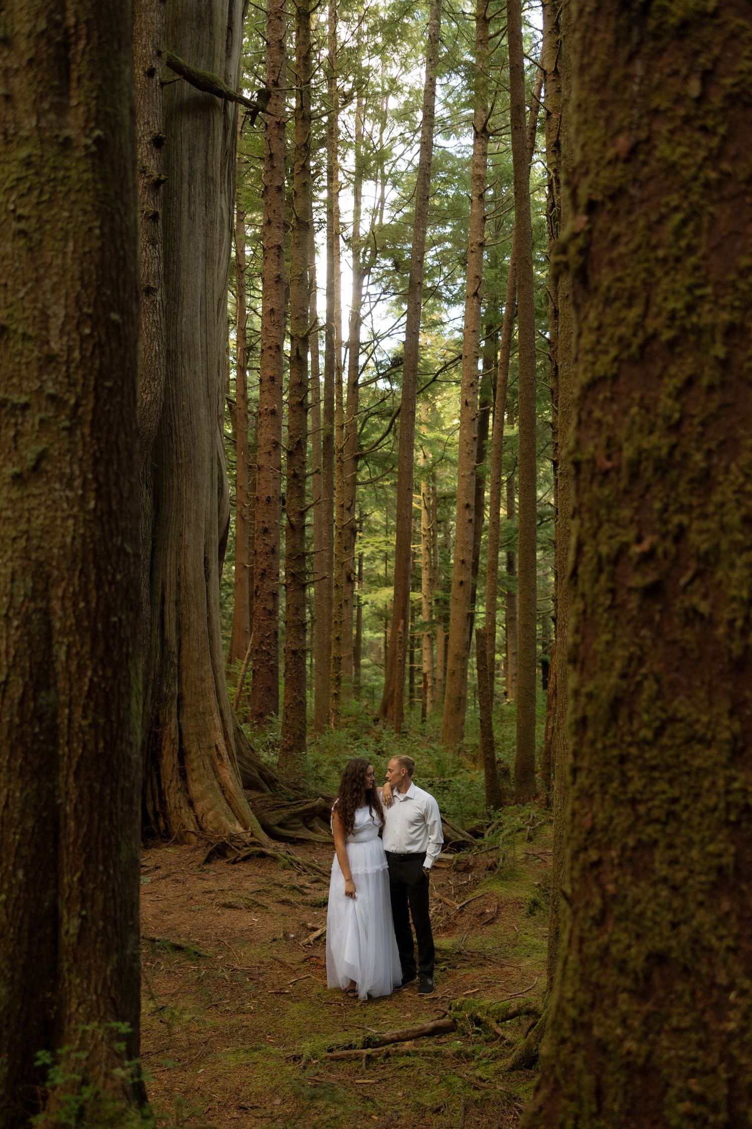 A couple in wedding attire stand together on a forest trail surrounded by towering evergreen trees.