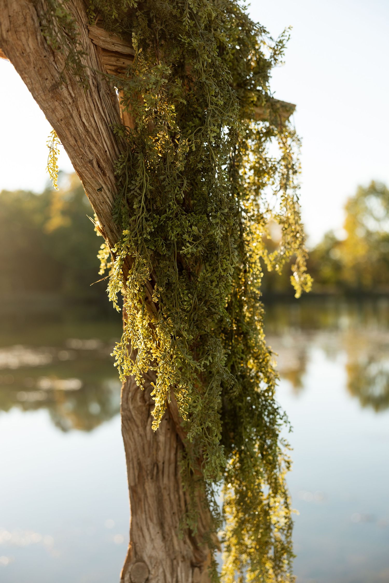 Close-up of moss and greenery draped on a wooden wedding arch post with lake reflection in background.