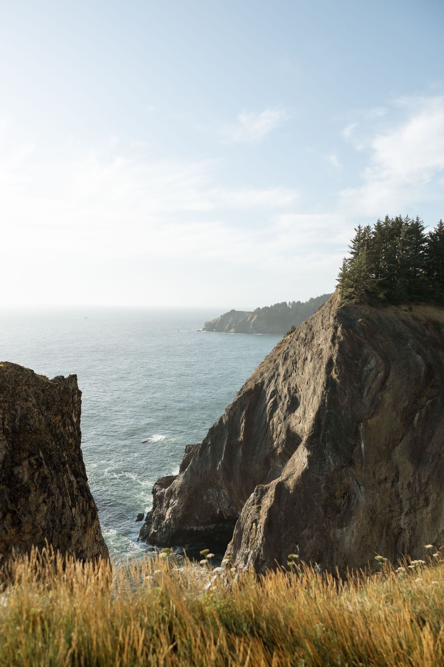 Dramatic coastal cliffs and ocean waves along a rugged Pacific Northwest shoreline.