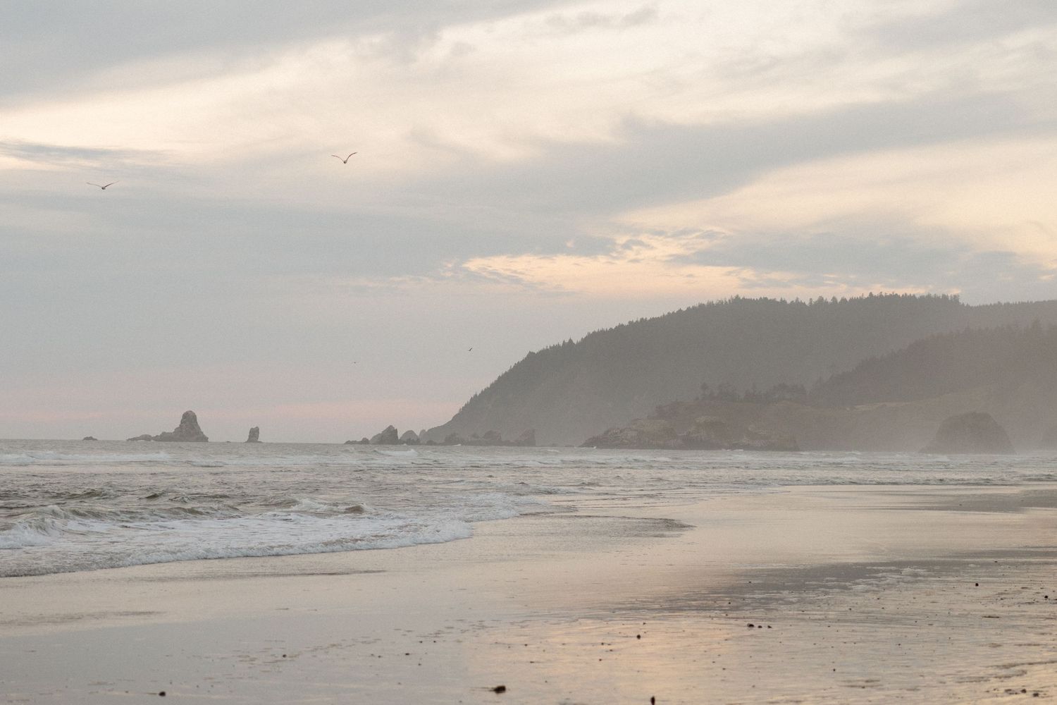 Misty coastal landscape view of Oregon's Pacific shoreline during golden hour.