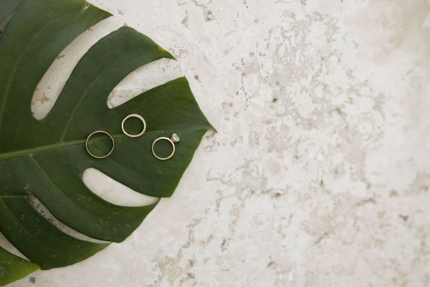 Two gold wedding bands and diamond engagement ring displayed on tropical monstera leaf on marble surface.