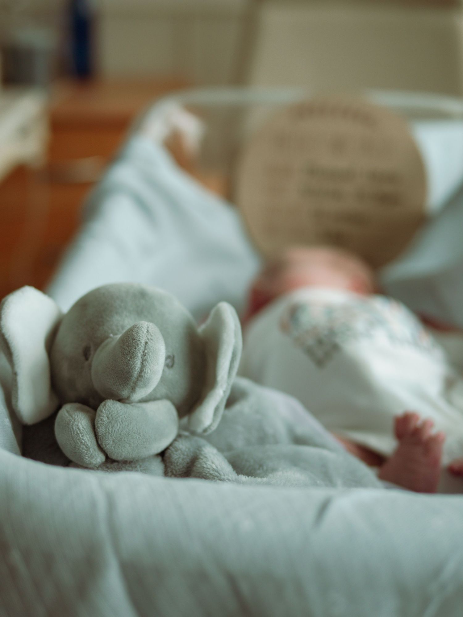 Gray elephant stuffed animal sits beside sleeping newborn baby in hospital bassinet after birth.
