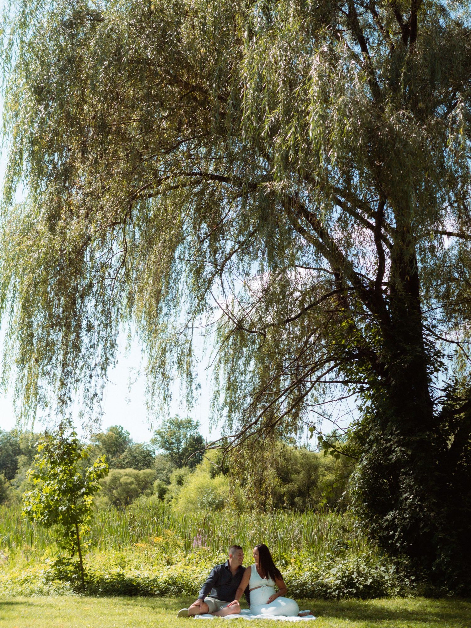 Couple sitting romantically on blanket beneath large weeping willow tree in green park.
