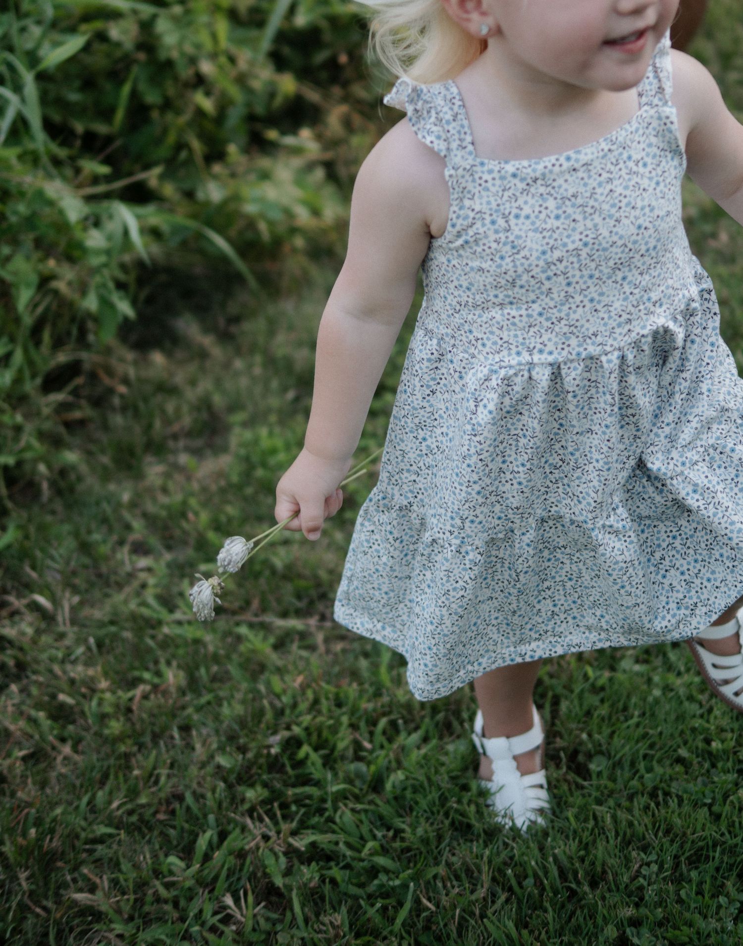 Toddler girl in floral dress holding dandelion walking on green grass outdoors.