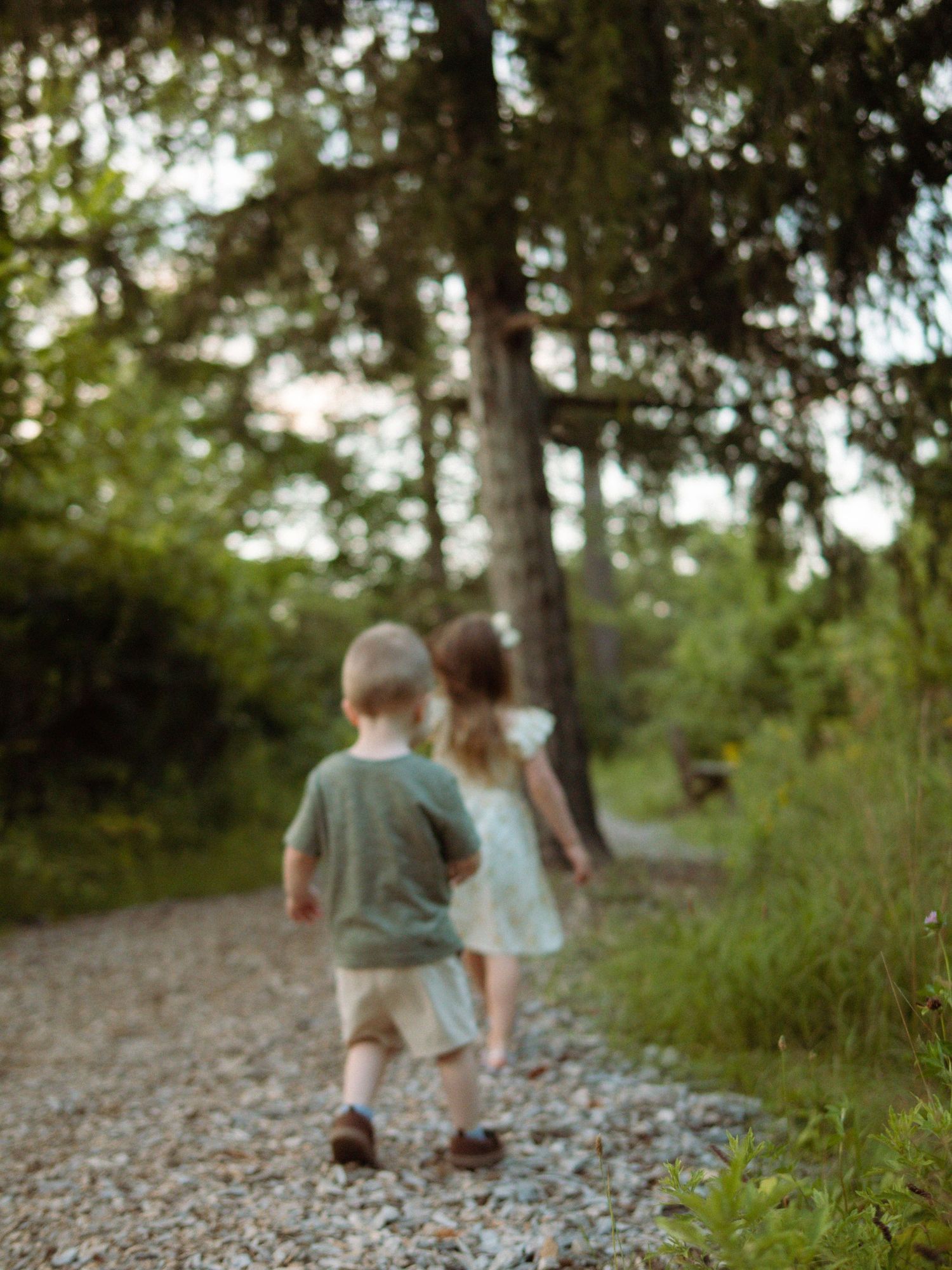 Two young children walk hand-in-hand down a tree-lined gravel path at sunset.