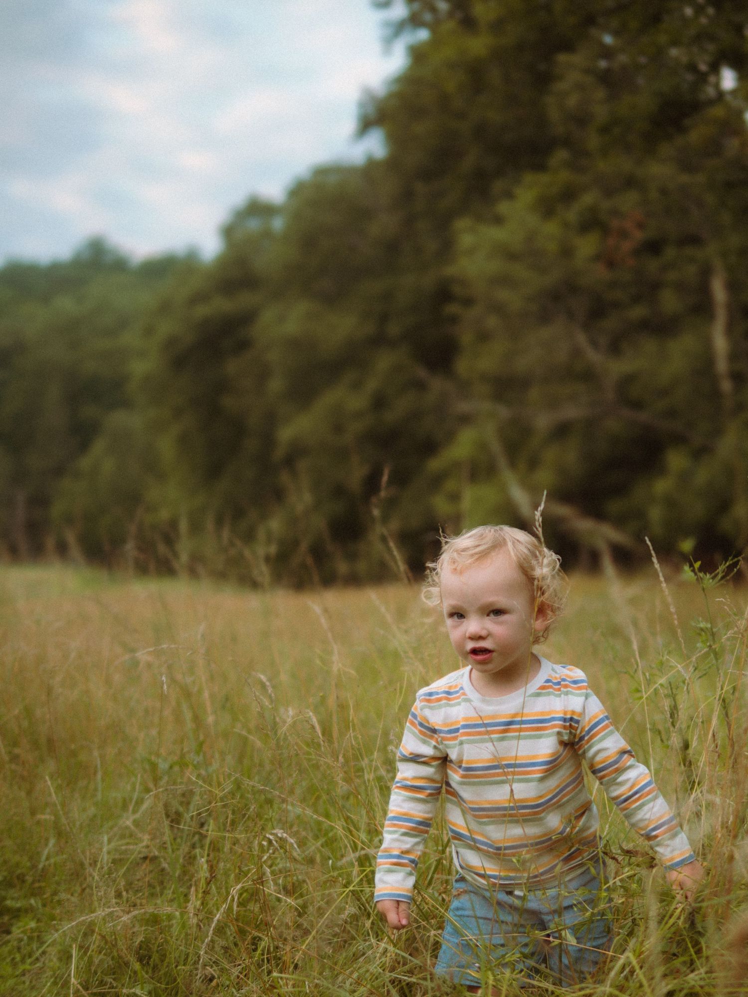 Curly-haired toddler in striped shirt walks through tall golden grass in a meadow.