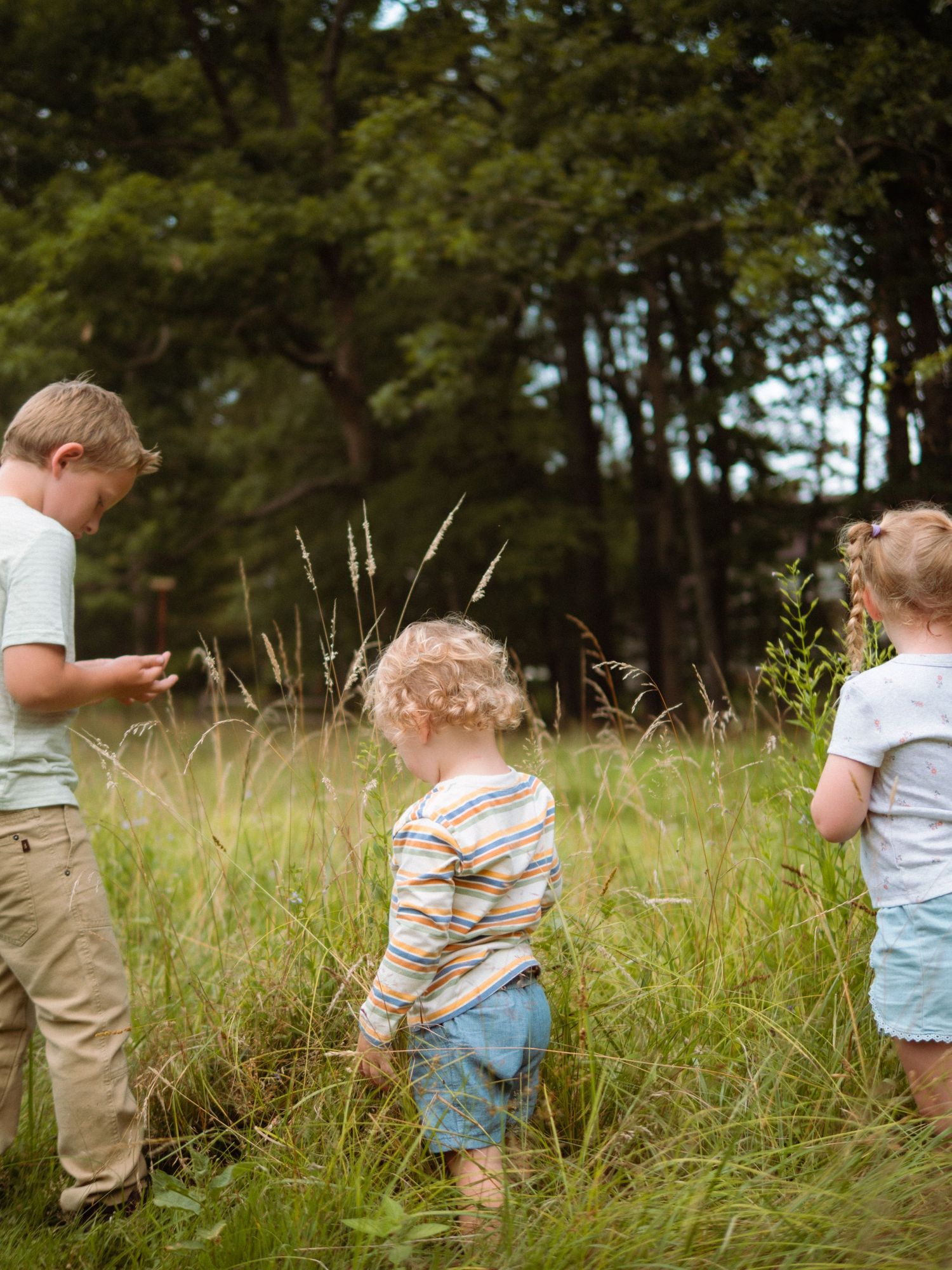 Three young children explore tall grass at the edge of a forest together.