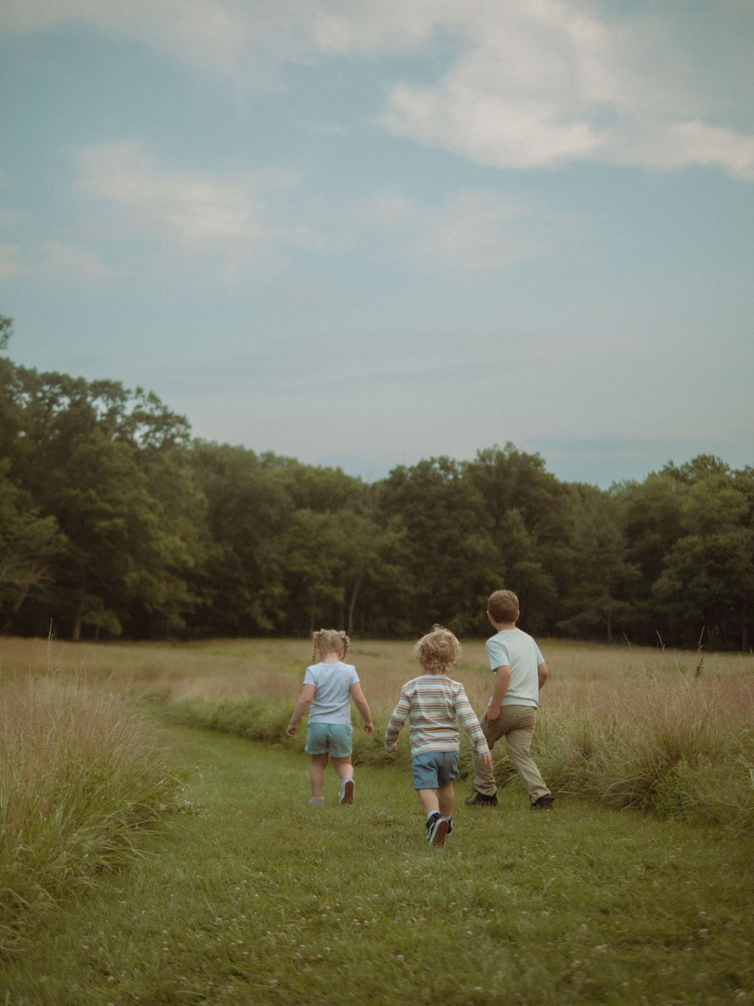 Three children walking hand in hand down a path through a green meadow.