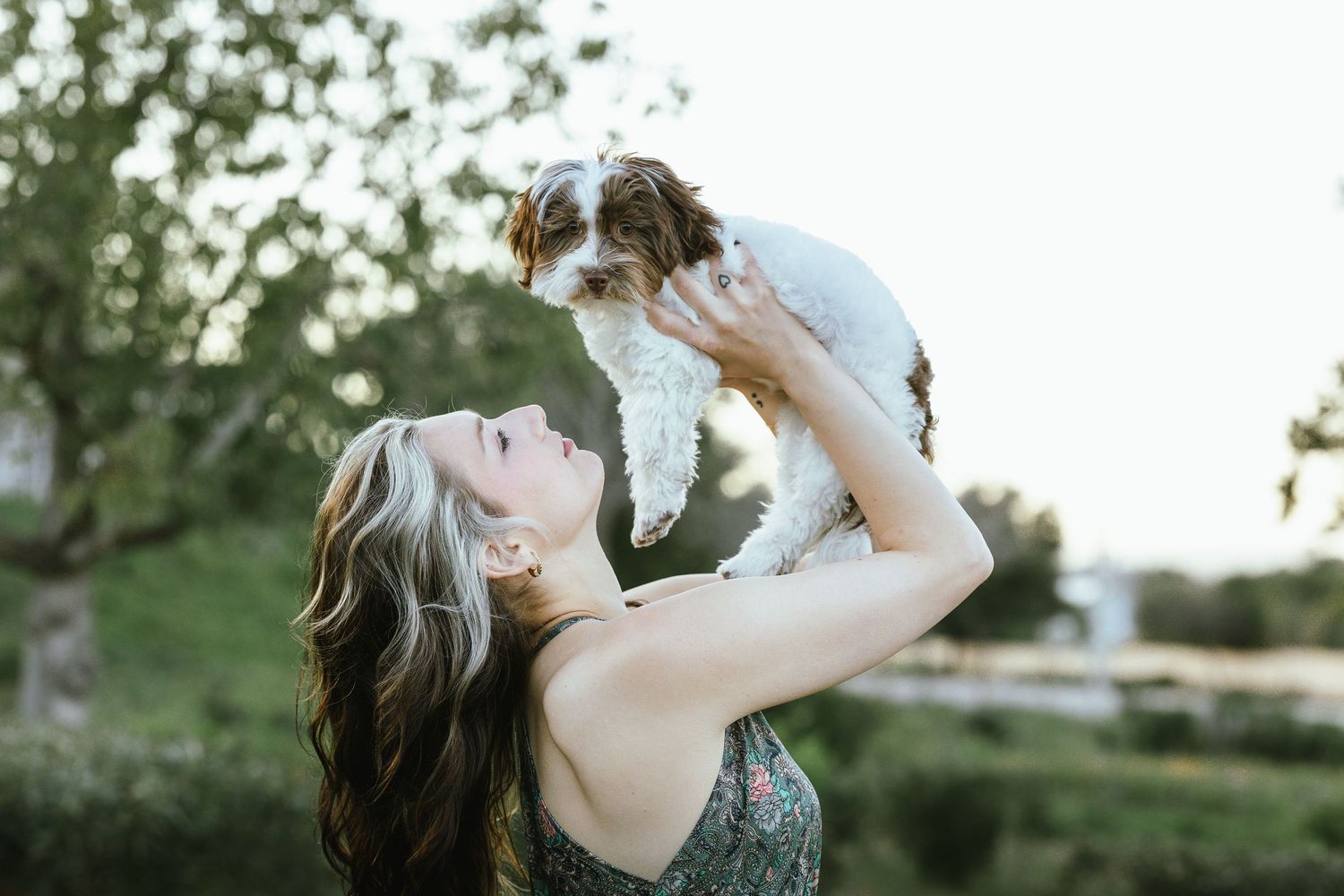 Woman holding a small Cavalier King Charles Spaniel puppy up in the air outdoors near trees.