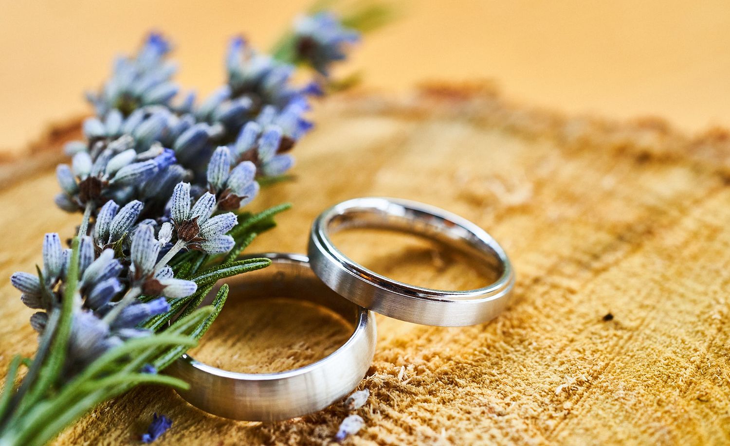 Alliances posées sur du bois avec des fleurs de lavande, détail des préparatifs de mariage