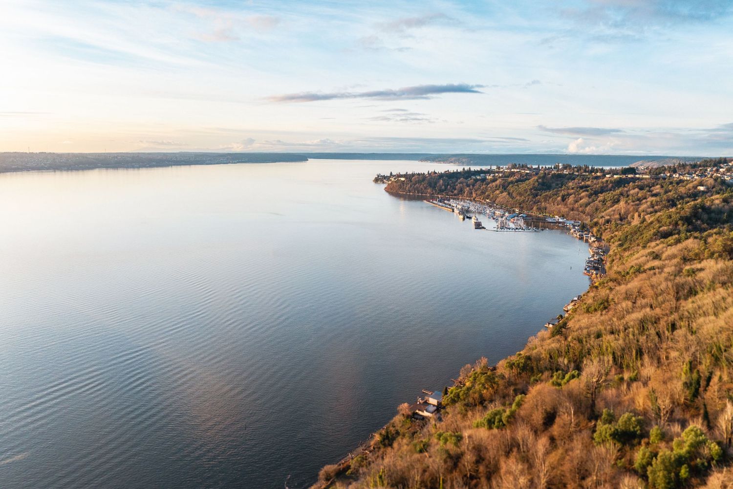 Aerial view of a wooded shoreline curving along calm water.