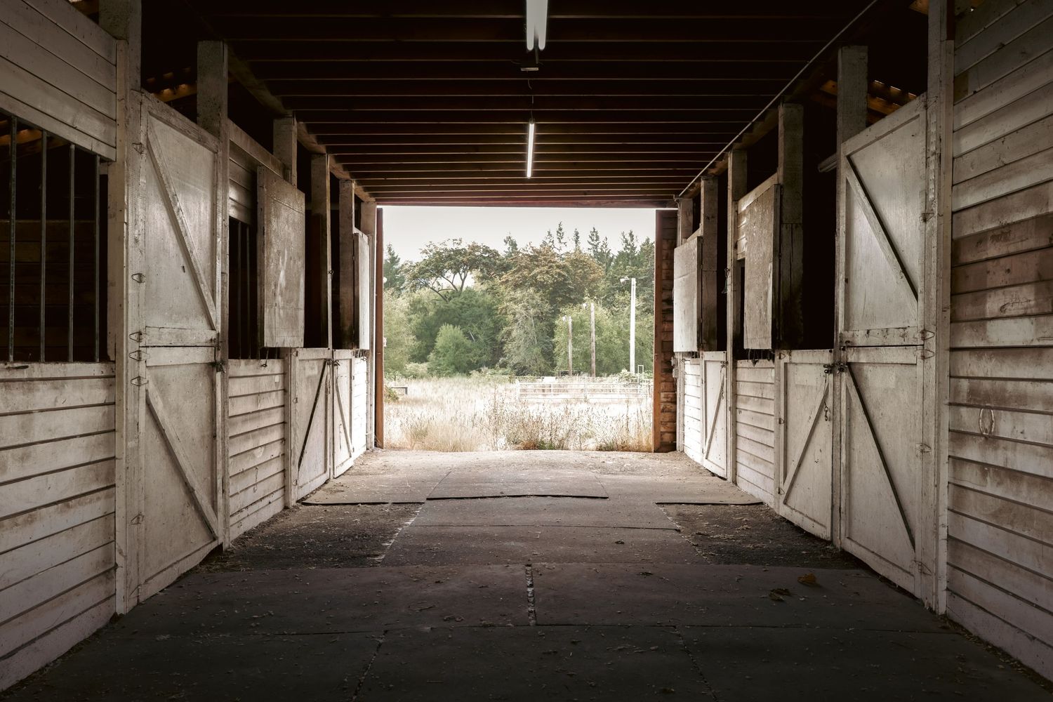 Symmetrical view through a rustic wooden barn with open doors leading to a field.