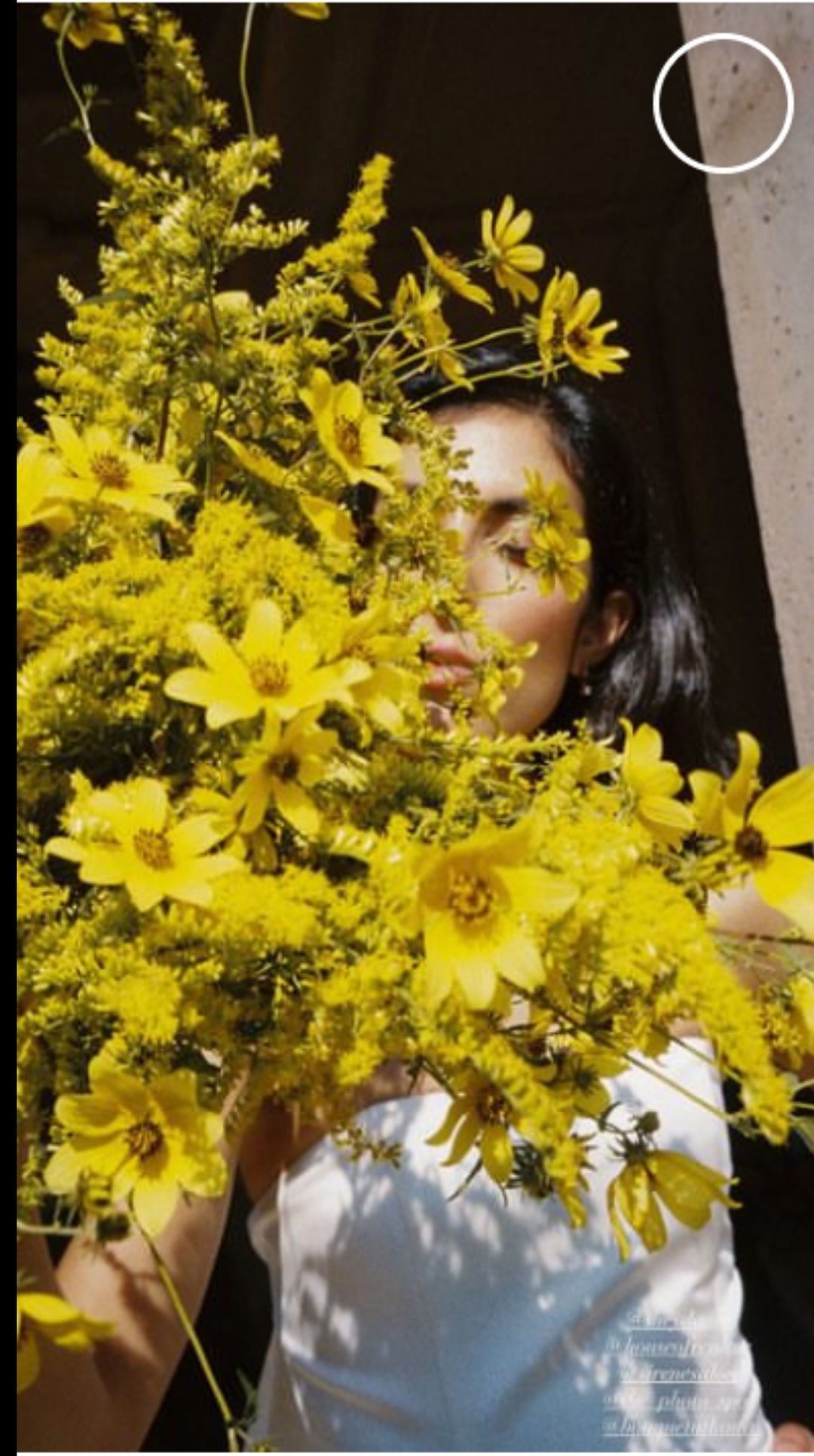 Bright yellow daisies and wildflowers arranged in a dramatic bouquet against a dark background.