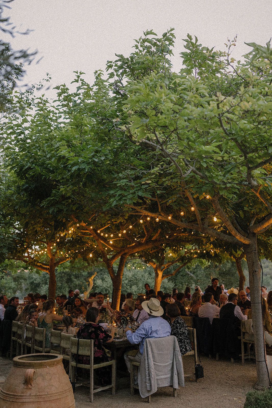 Outdoor dining area under trees decorated with string lights creating a romantic ambiance at dusk.