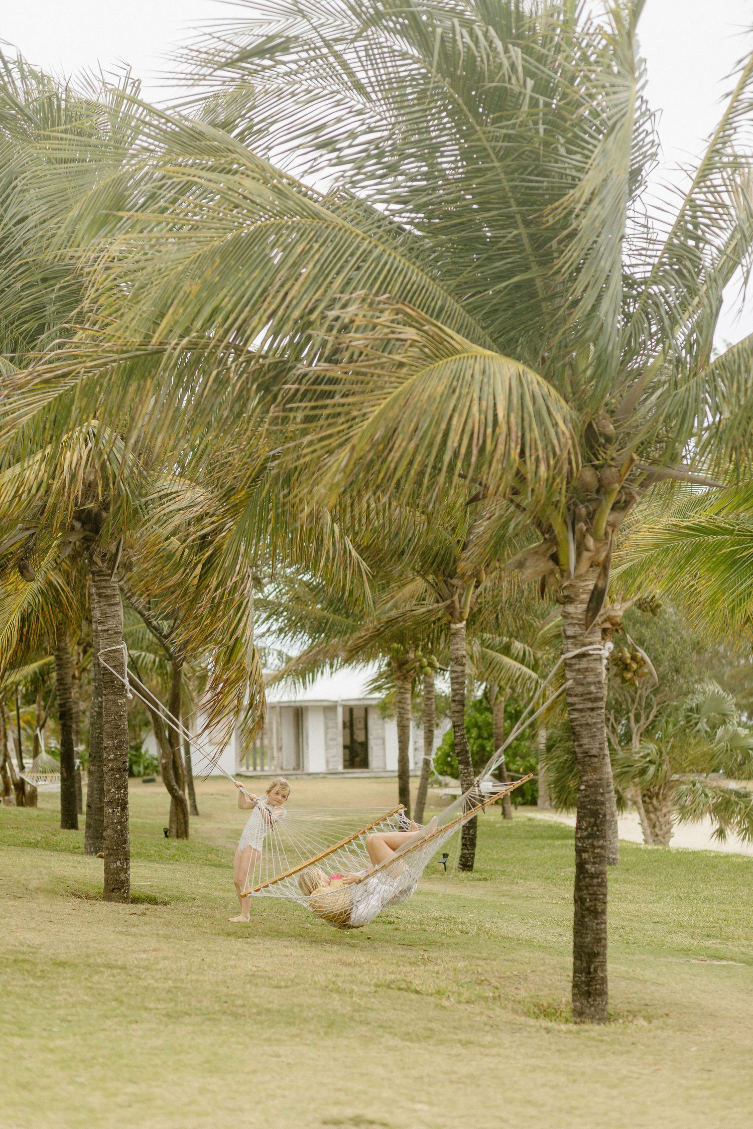 Palm trees line a grassy area with a hammock strung between them in a tropical setting.