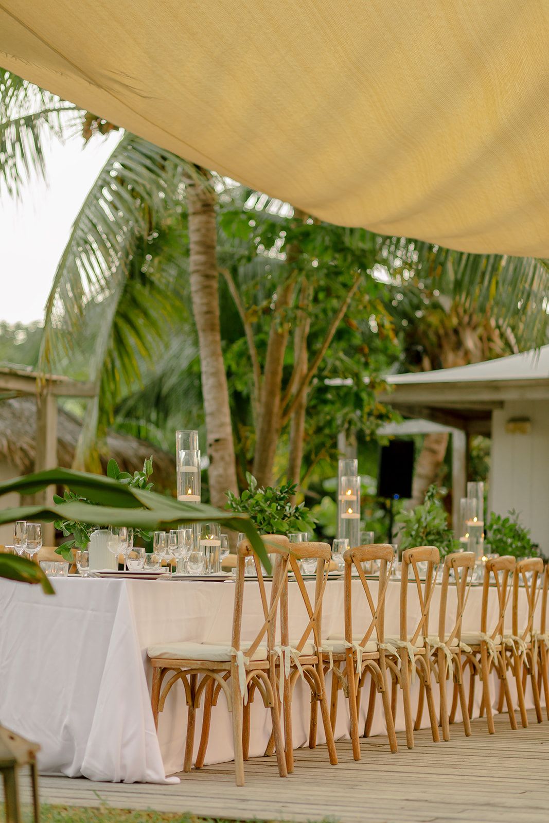Elegant outdoor wedding reception setup with wooden chairs under canopy surrounded by palm trees.