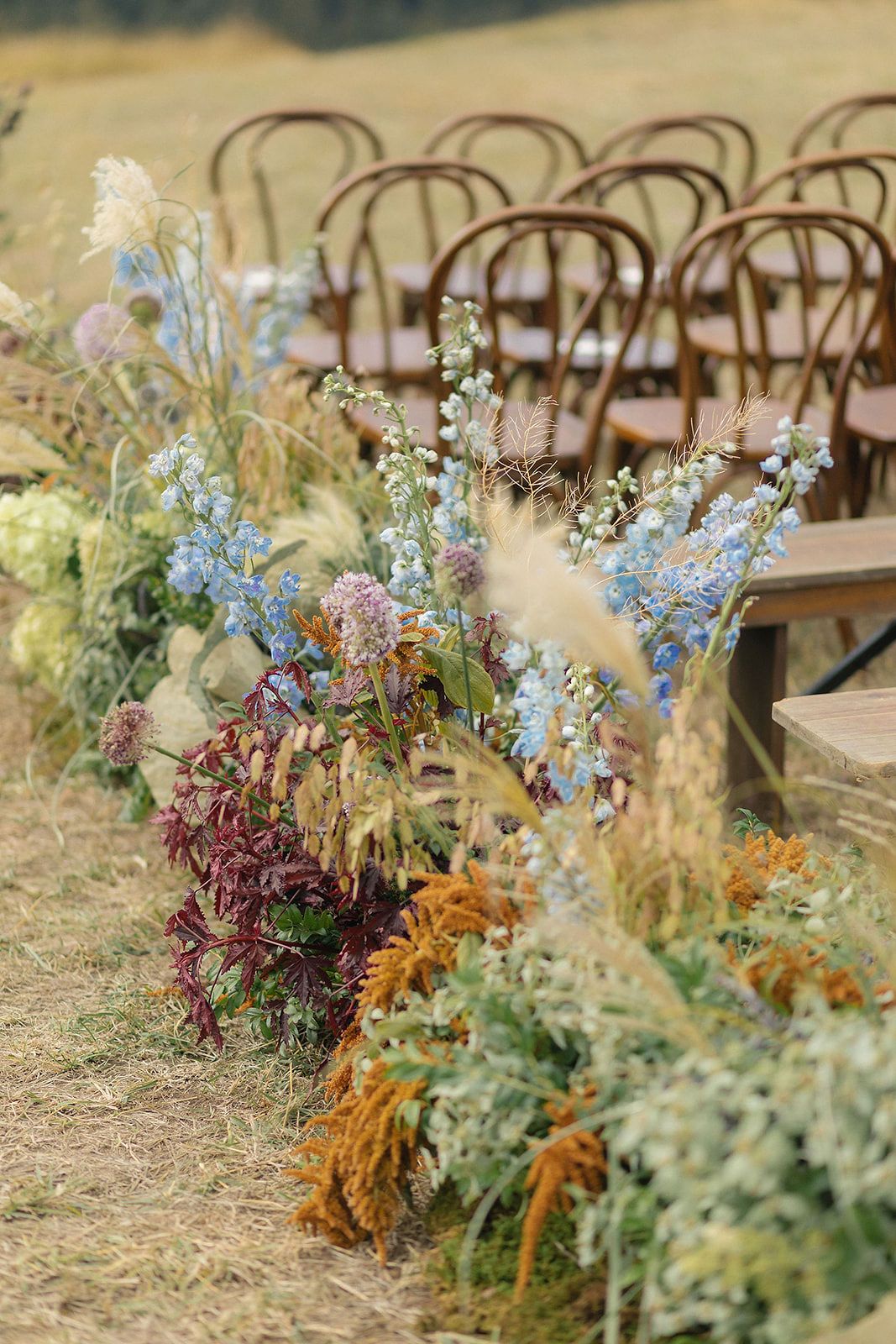 Rustic wedding aisle decorated with wildflowers and delphinium blooms alongside wooden chairs in an outdoor setting.